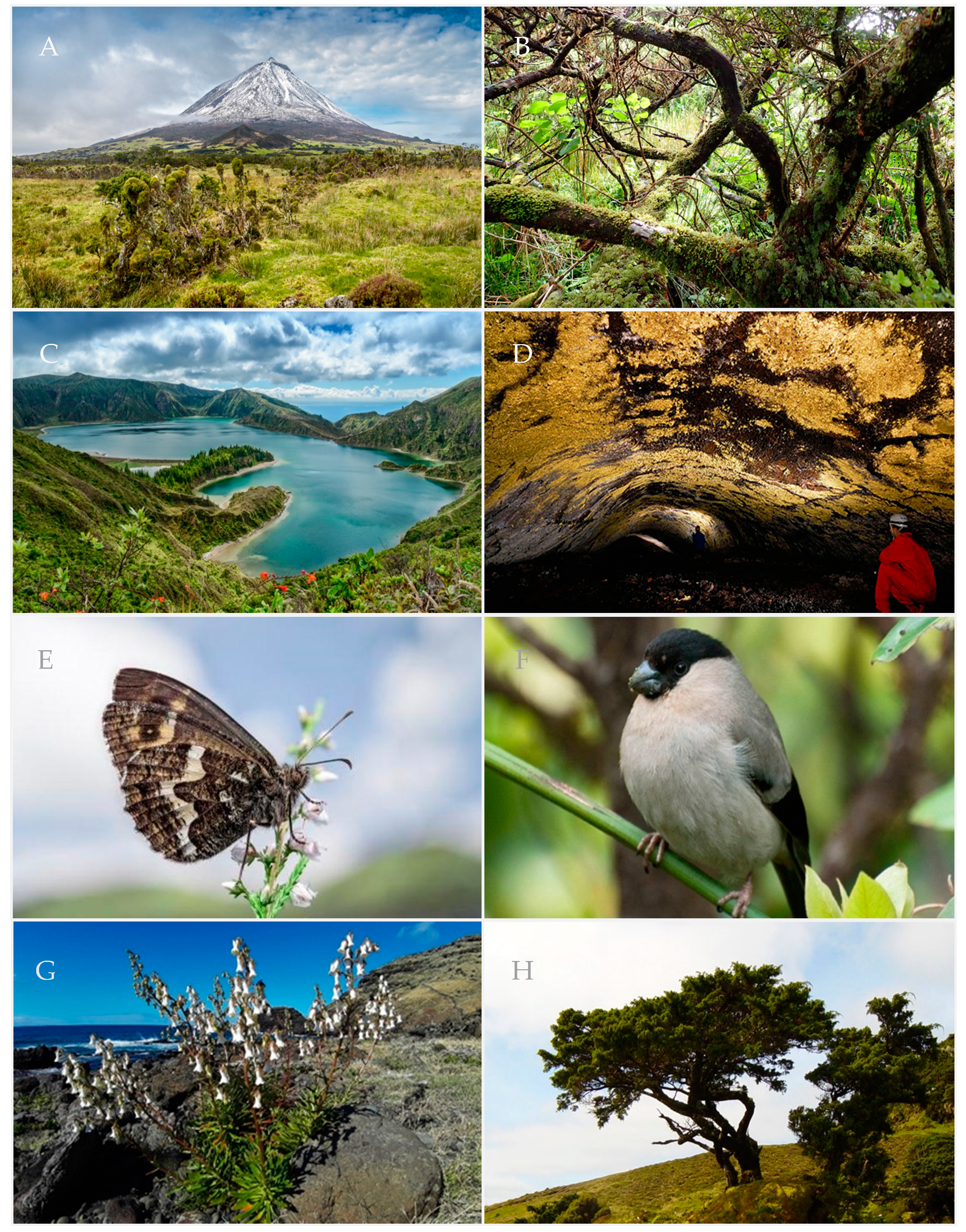 Sustainability 13 12554 g002 550