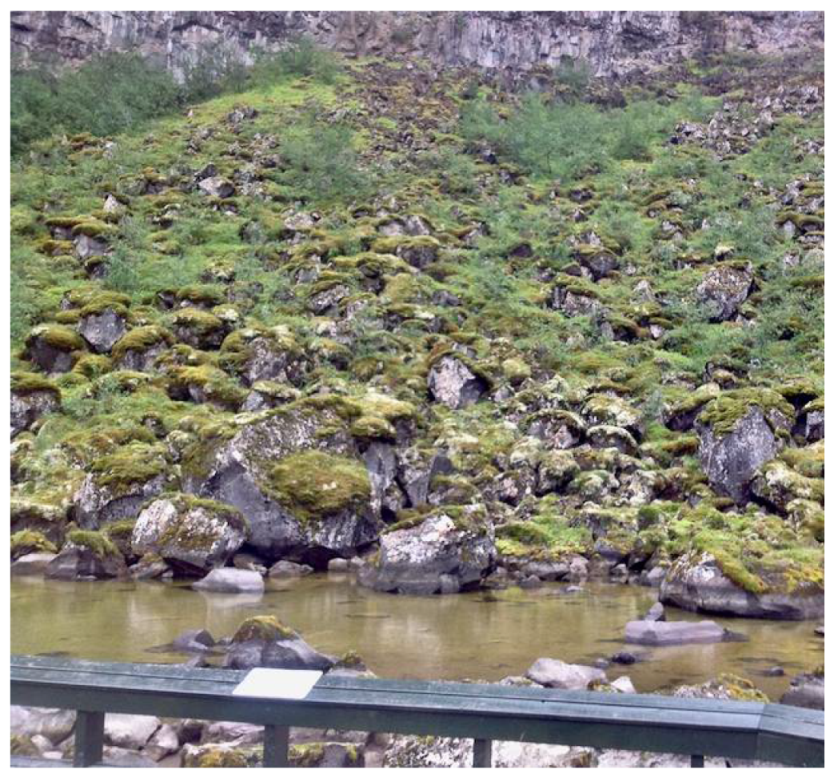 Sustainability 13 12592 g003