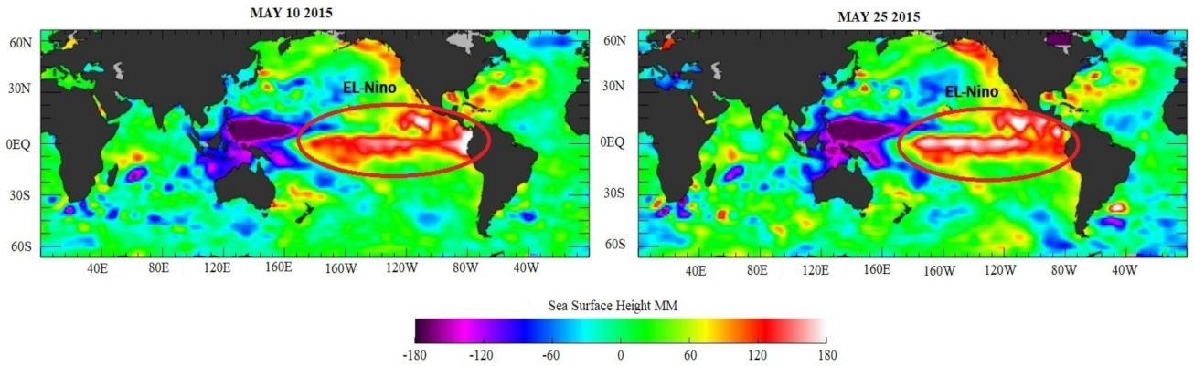 Sustainability 13 12608 g013