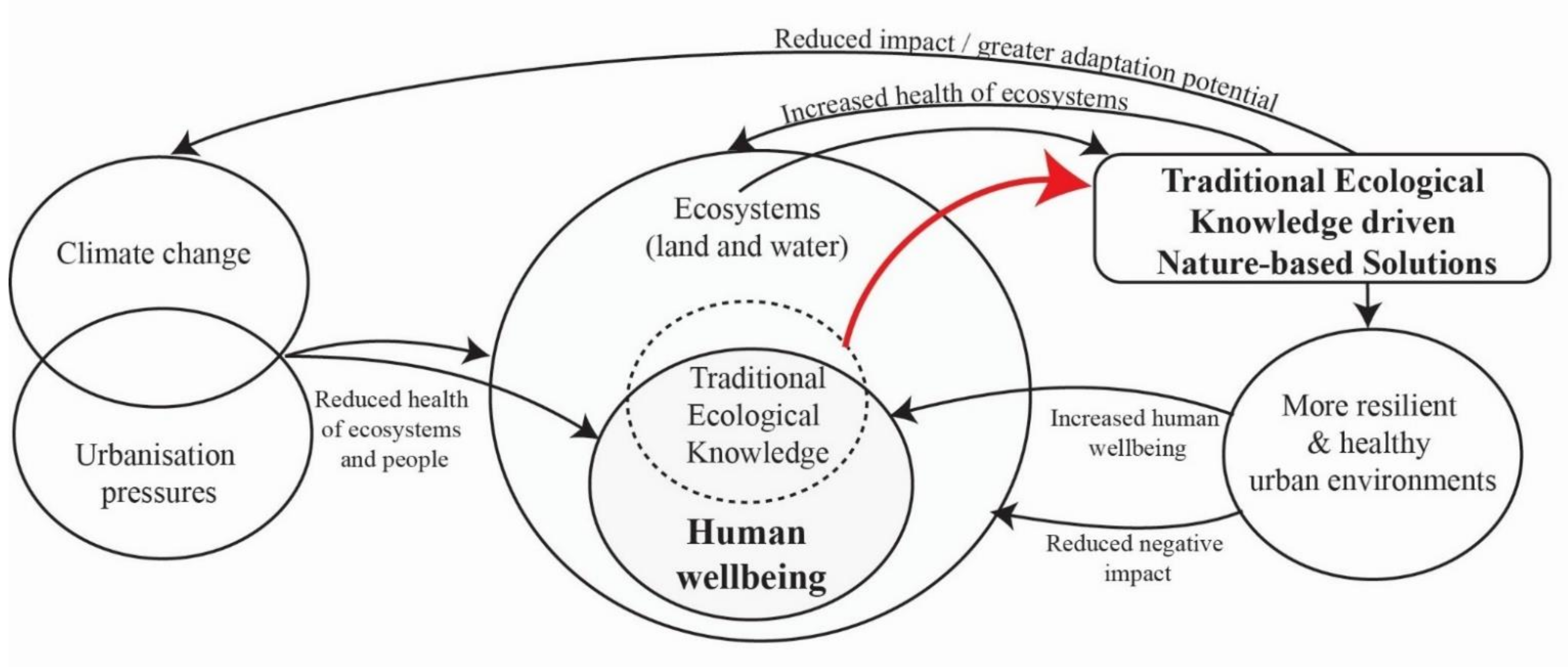 Sustainability 13 12660 g005