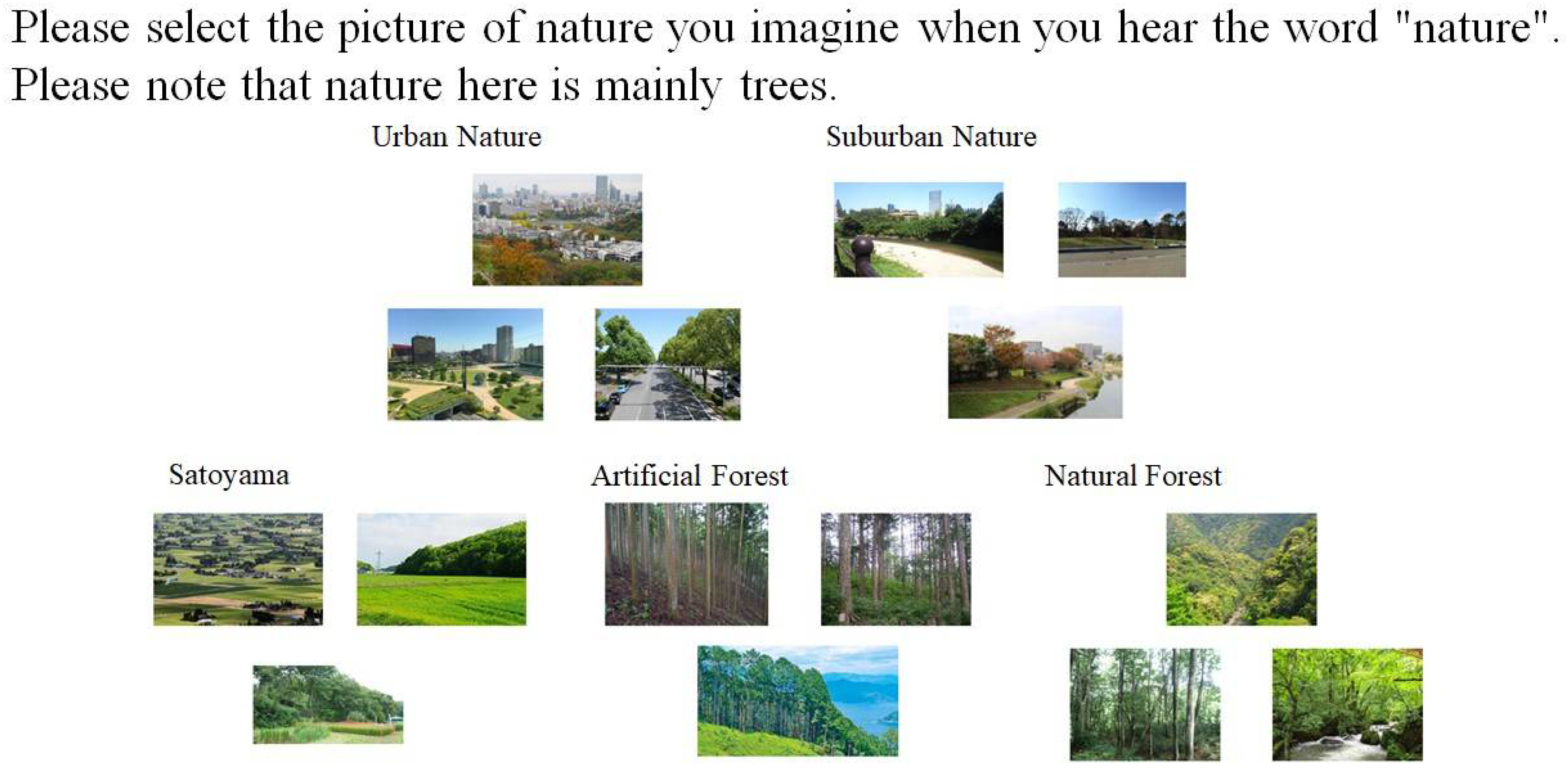 Sustainability 13 12683 g001