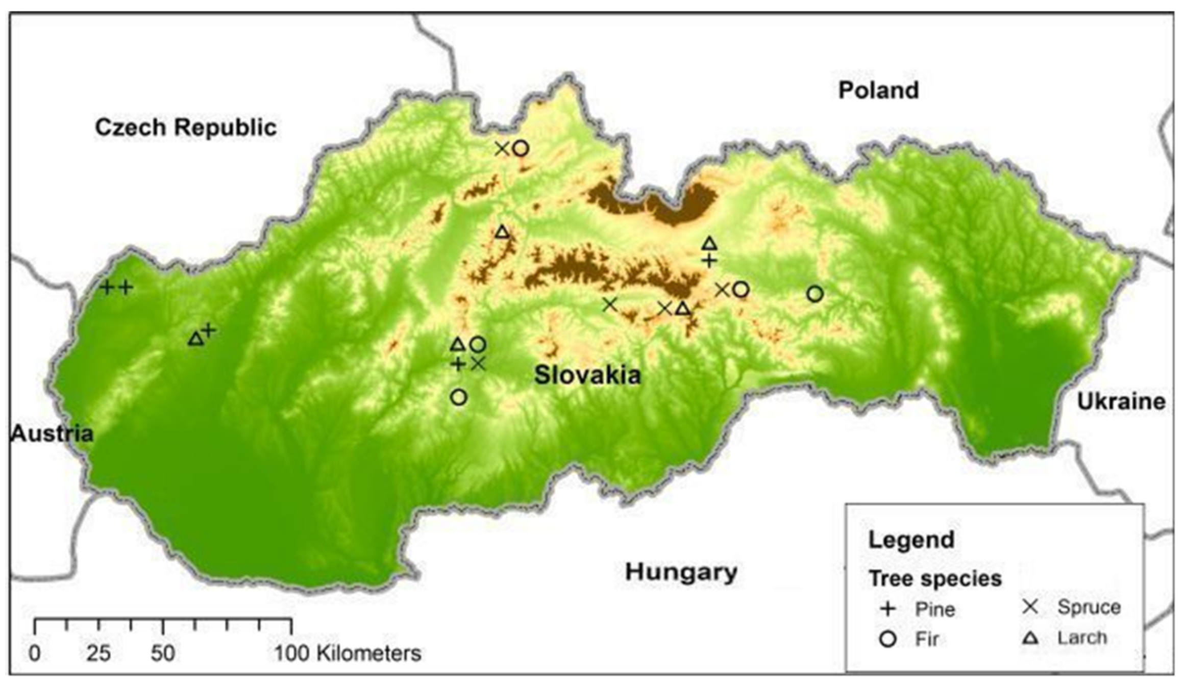 Sustainability 13 12686 g001 Sustainability 13 12686 g001