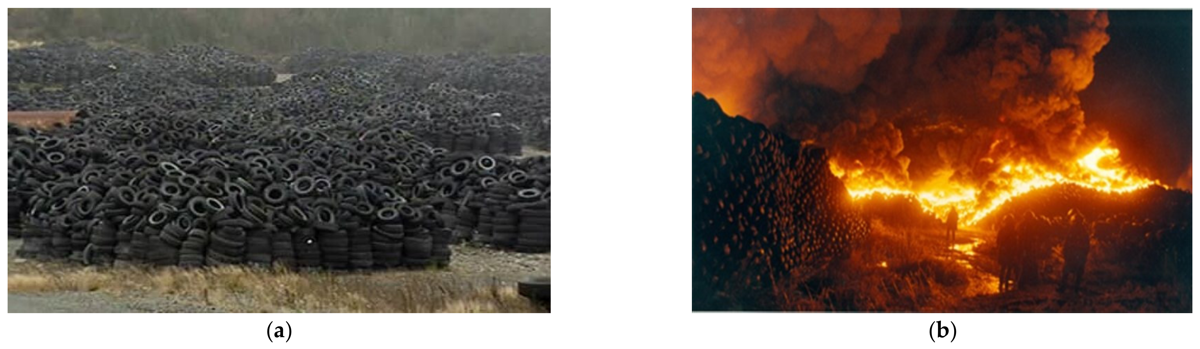 Sustainability 13 12756 g001 550