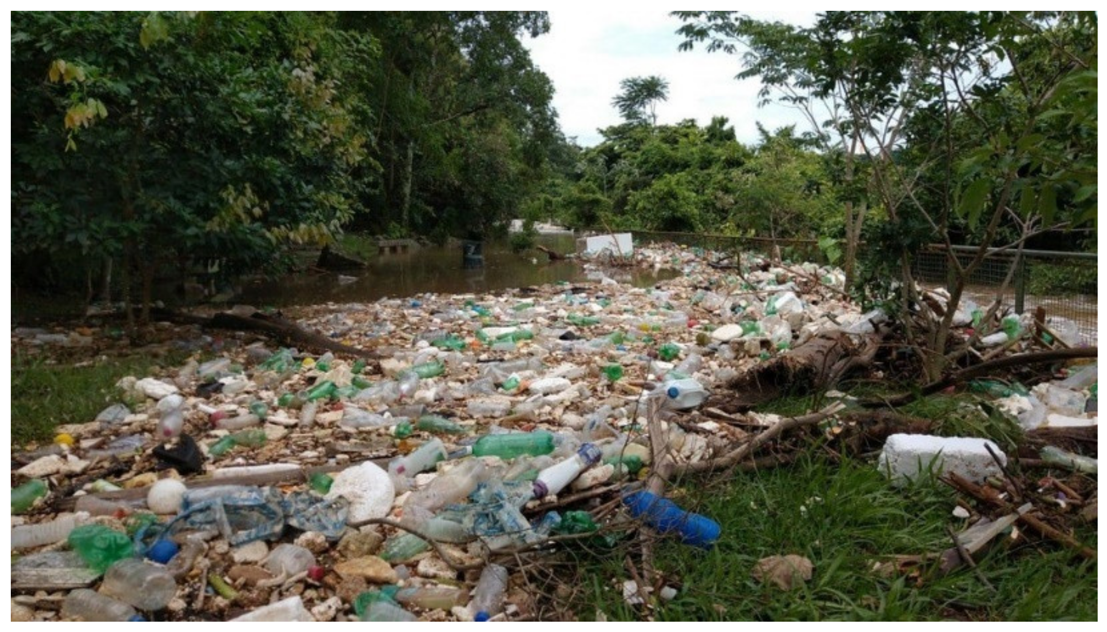 Sustainability 13 12756 g002 550