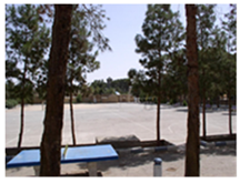 Sustainability 13 12782 i035