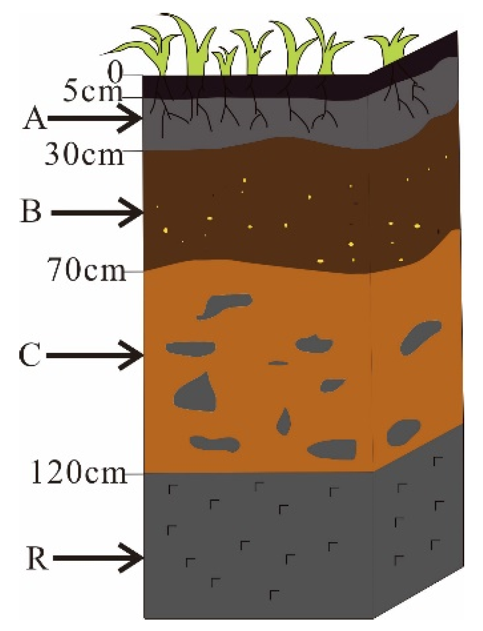 Sustainability 13 12796 g002