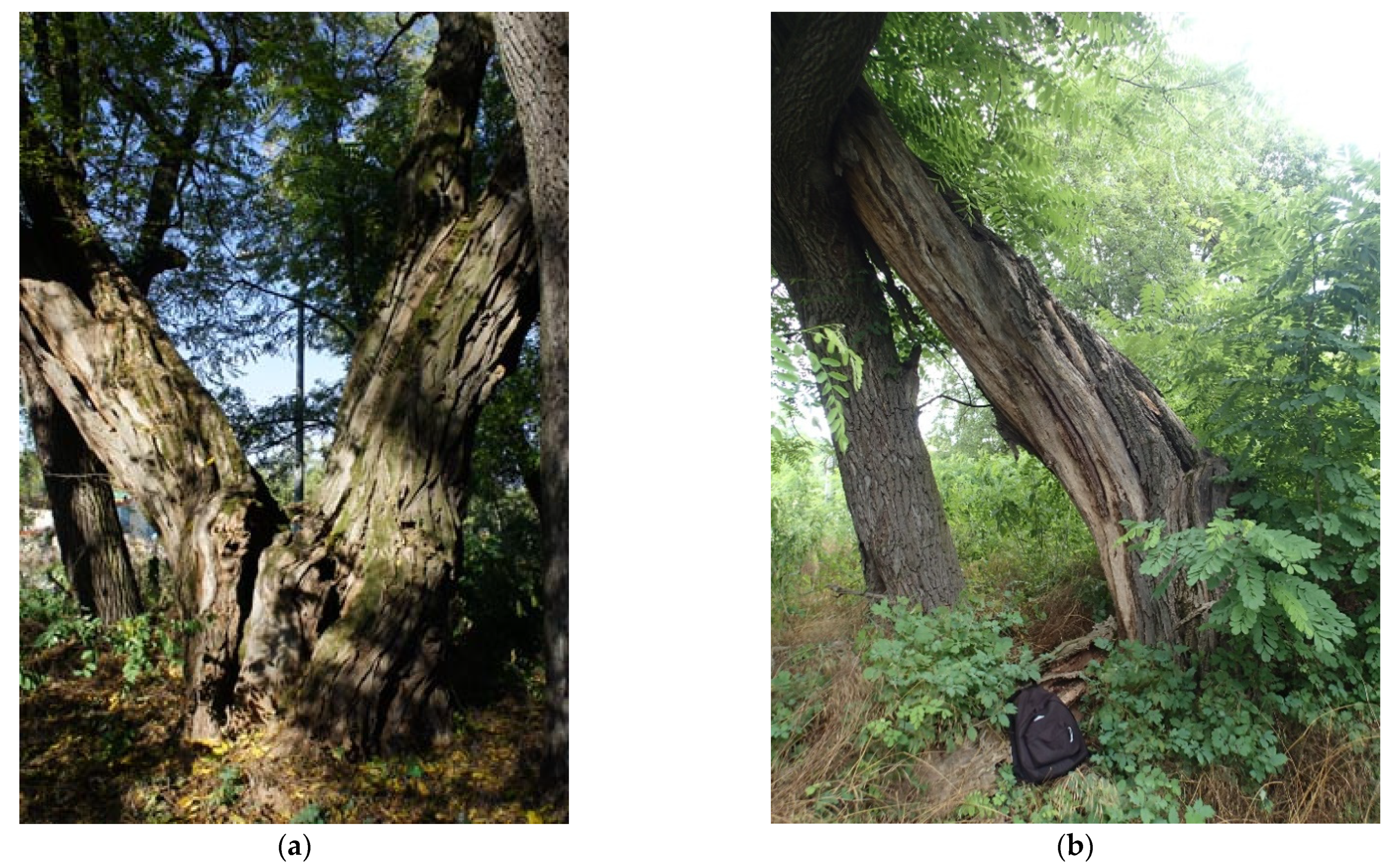 Sustainability 13 12803 g005 550