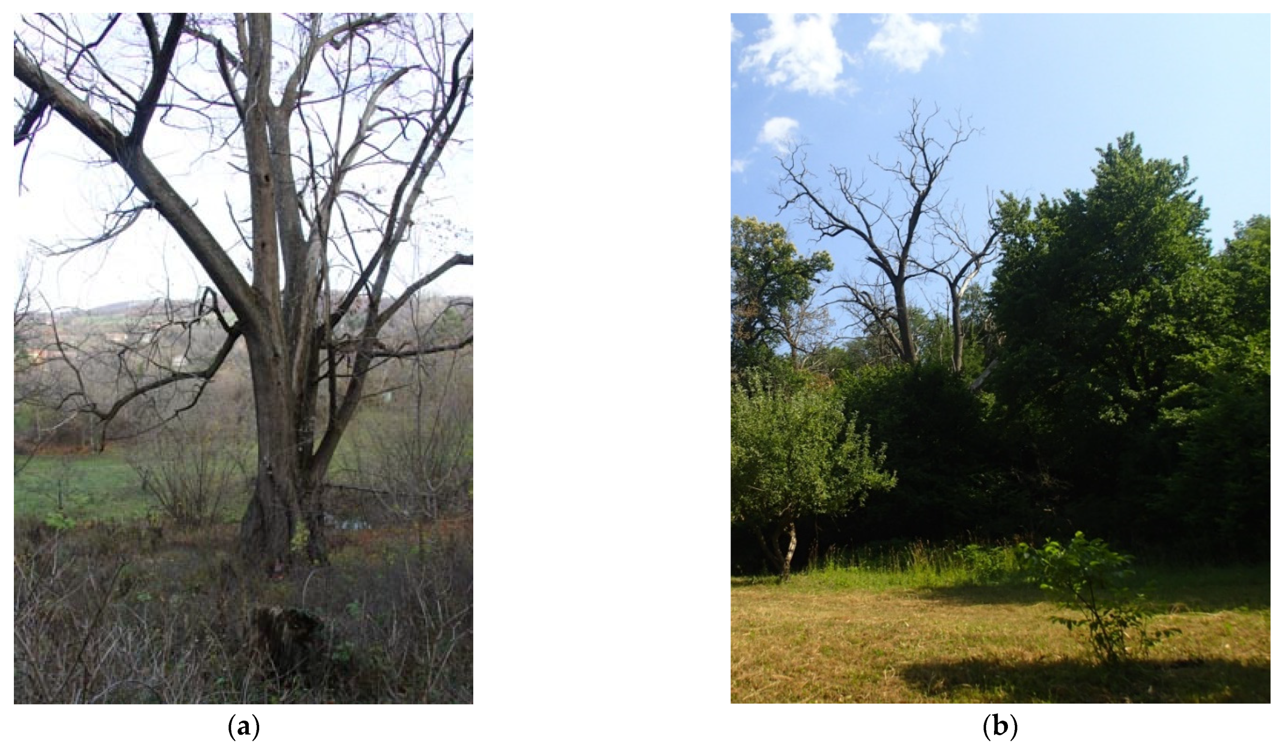 Sustainability 13 12803 g009 550