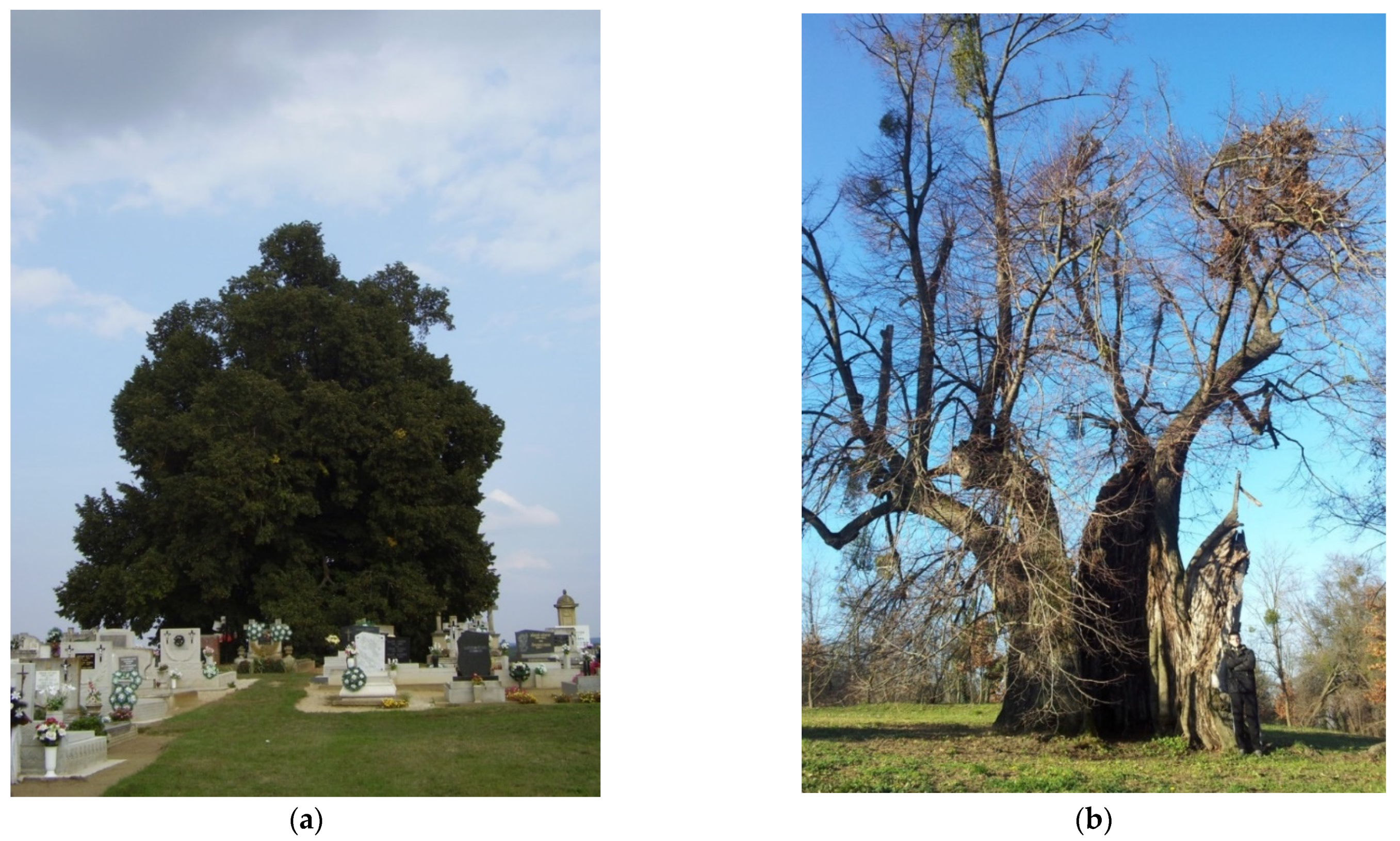 Sustainability 13 12803 g015 550