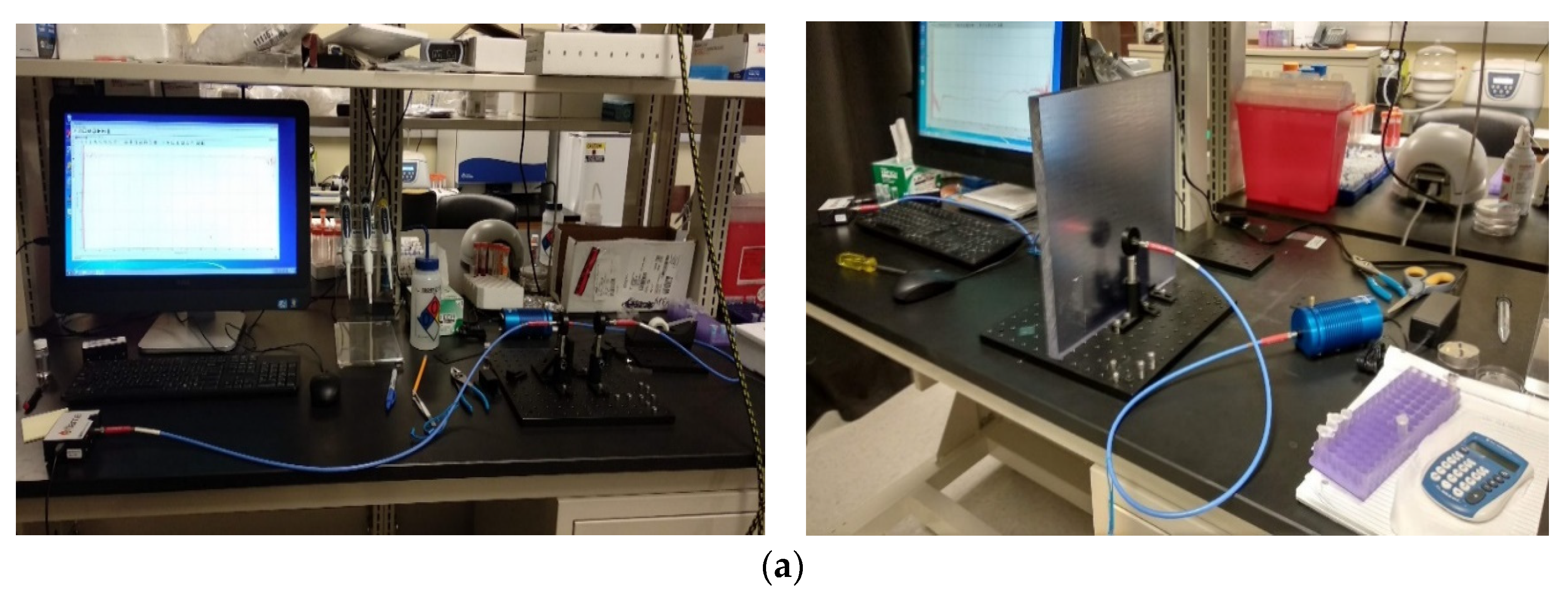 Sustainability 13 12807 g002a