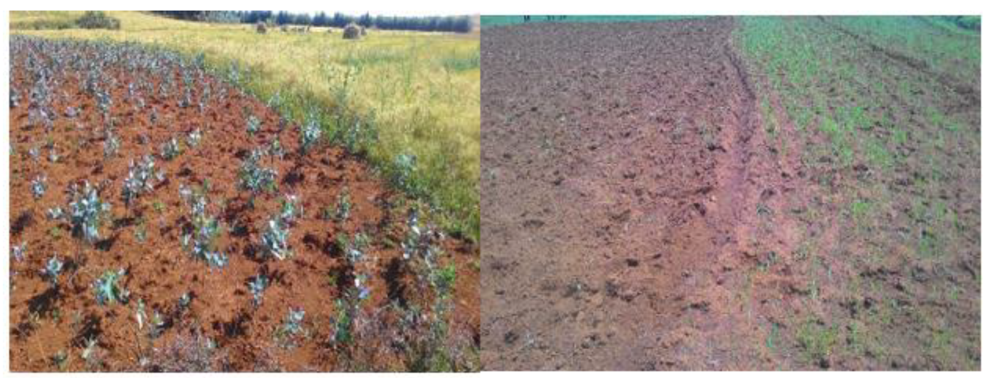 Sustainability 13 12819 g004 550