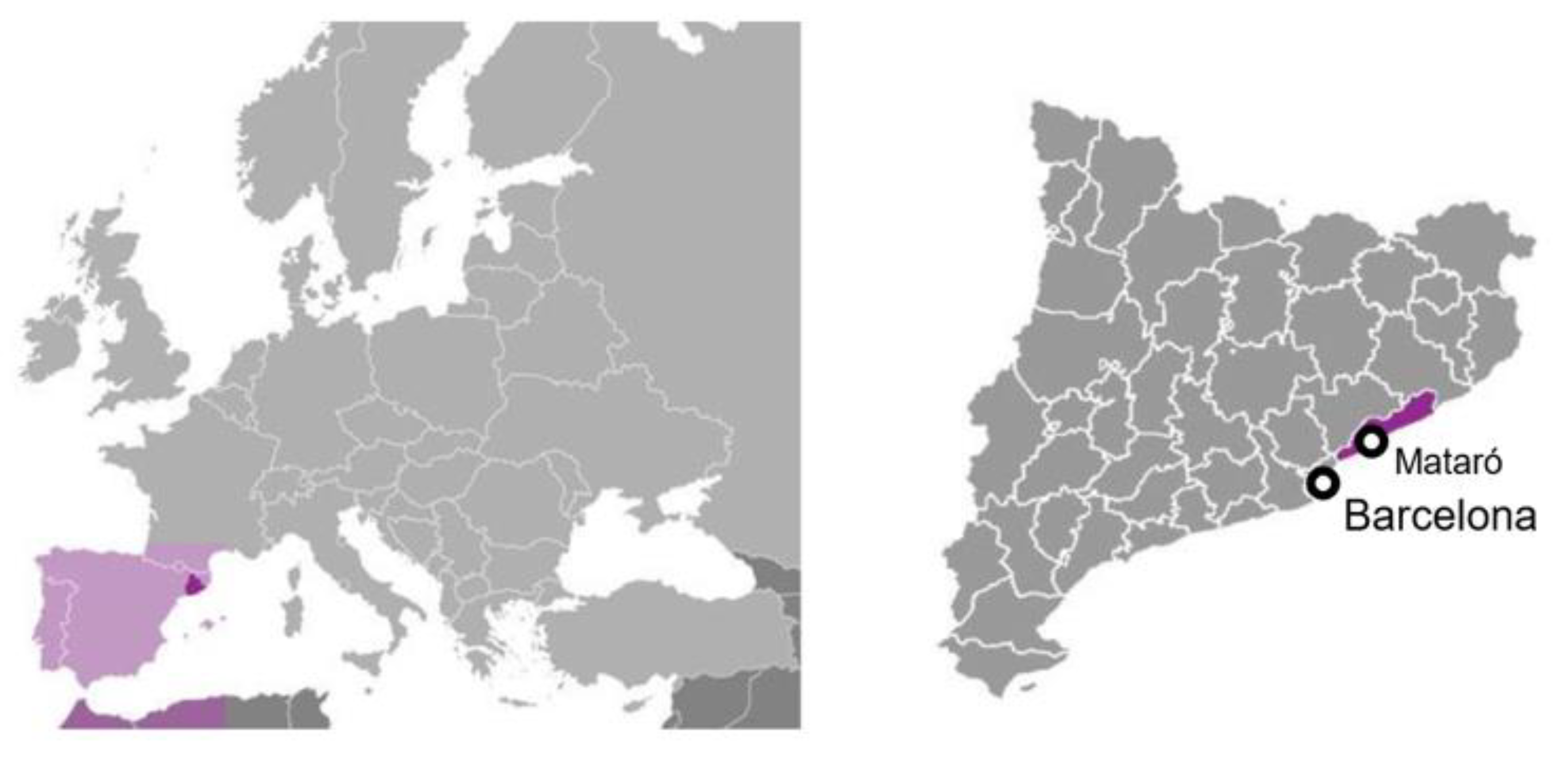 Sustainability 13 12855 g001