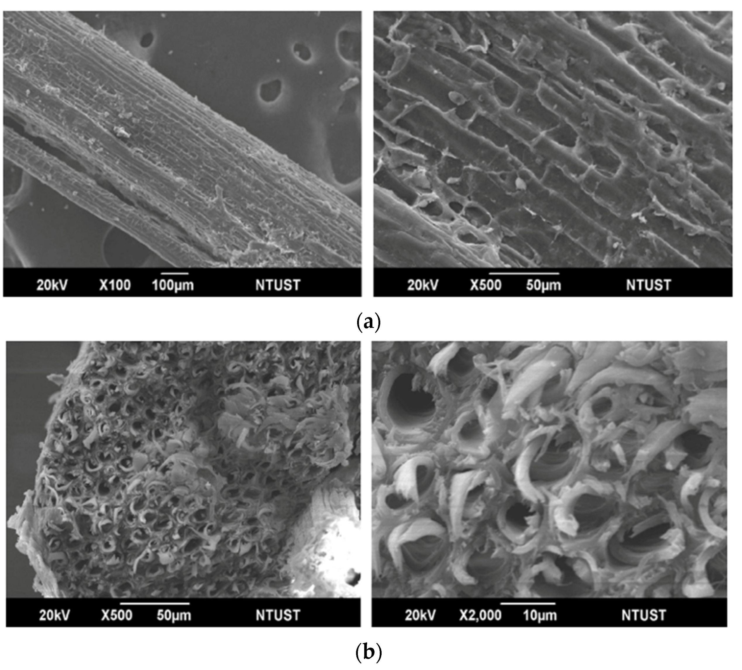 Sustainability 13 12865 g002