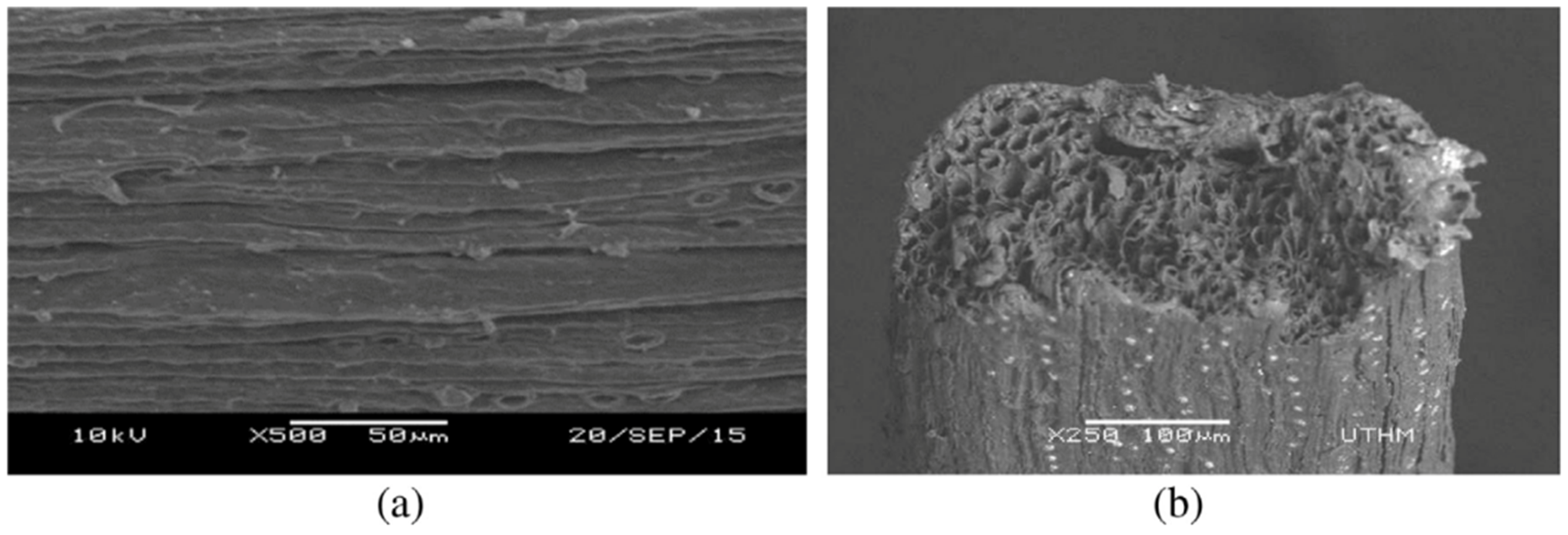 Sustainability 13 12865 g006