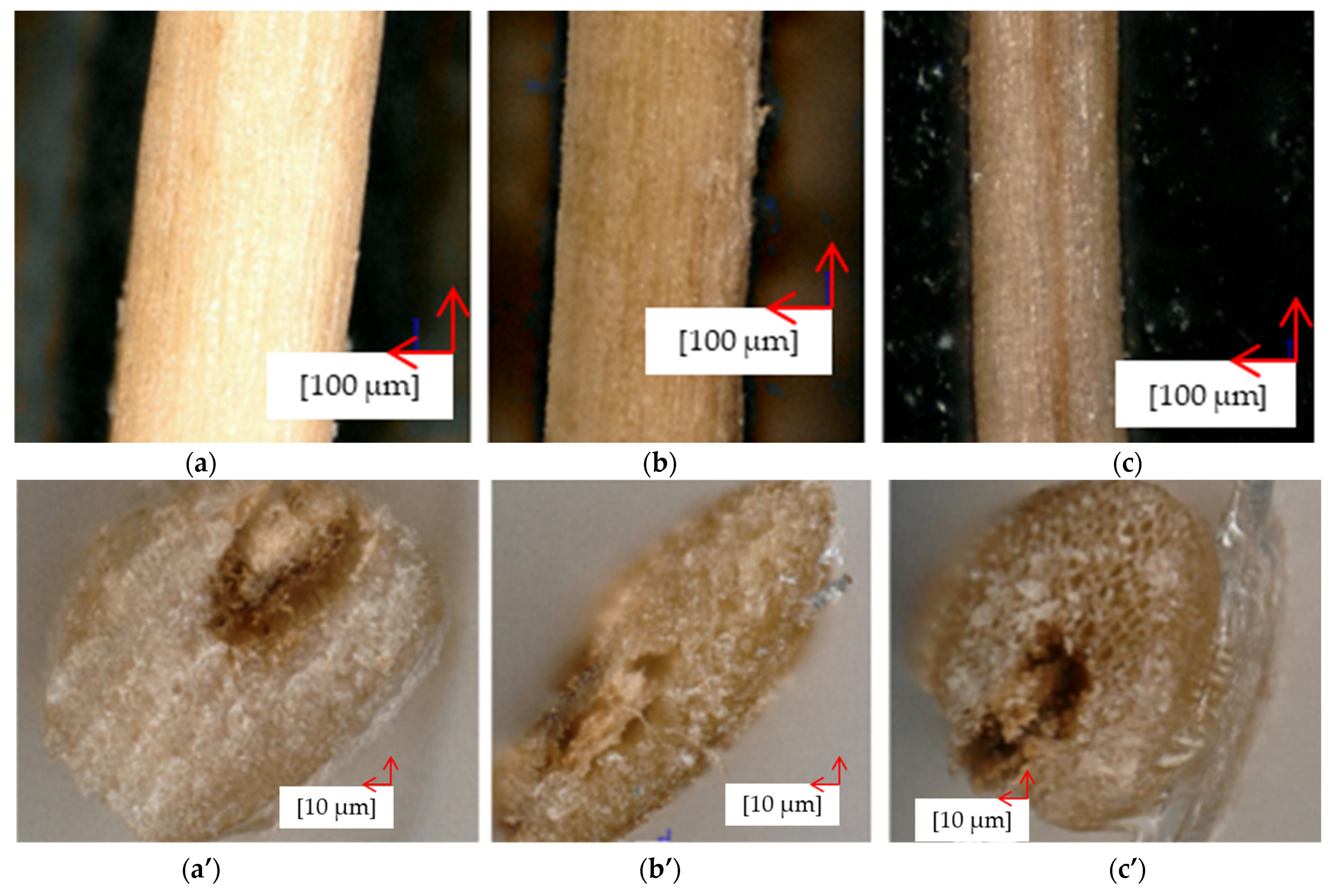 Sustainability 13 12865 g008