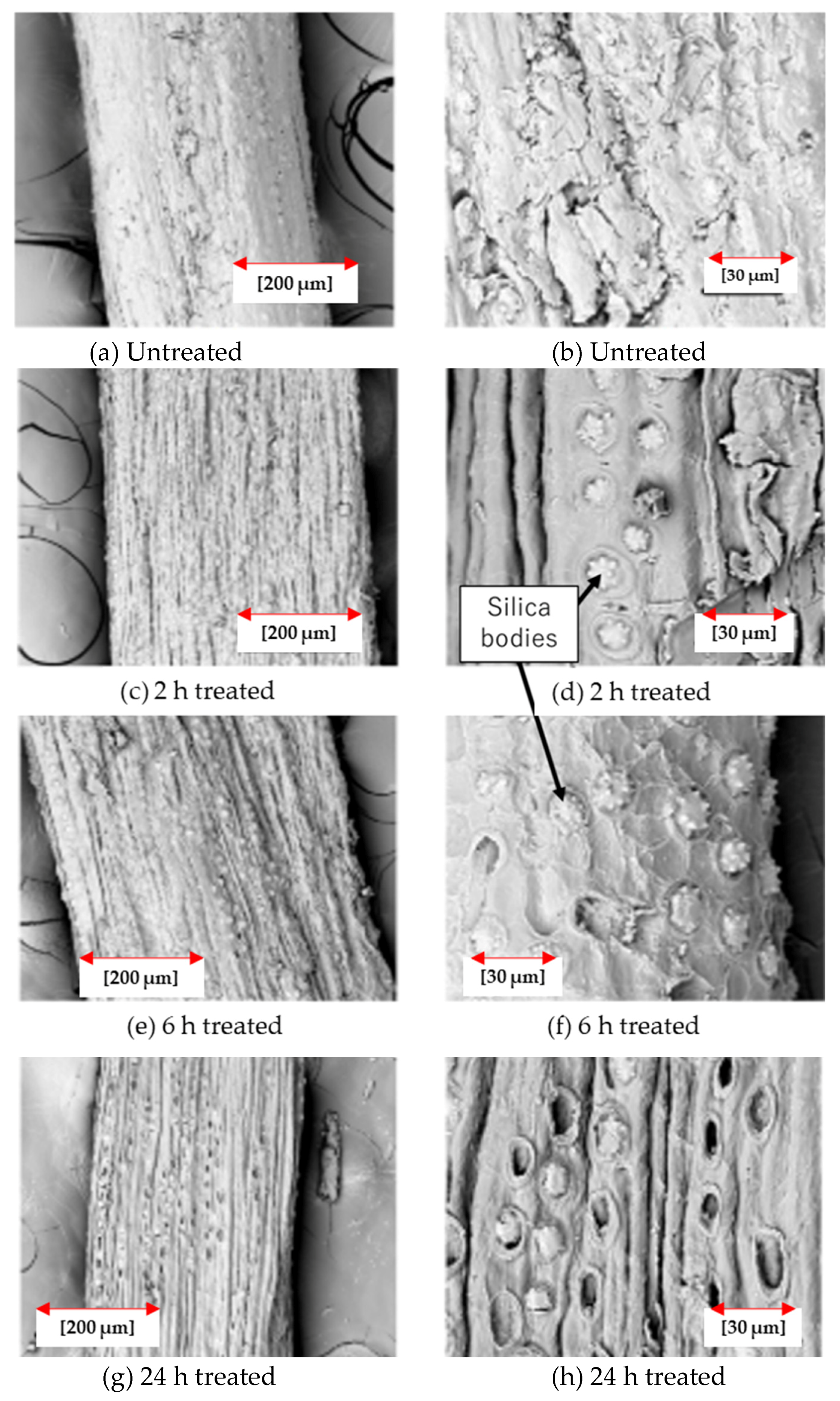 Sustainability 13 12865 g009