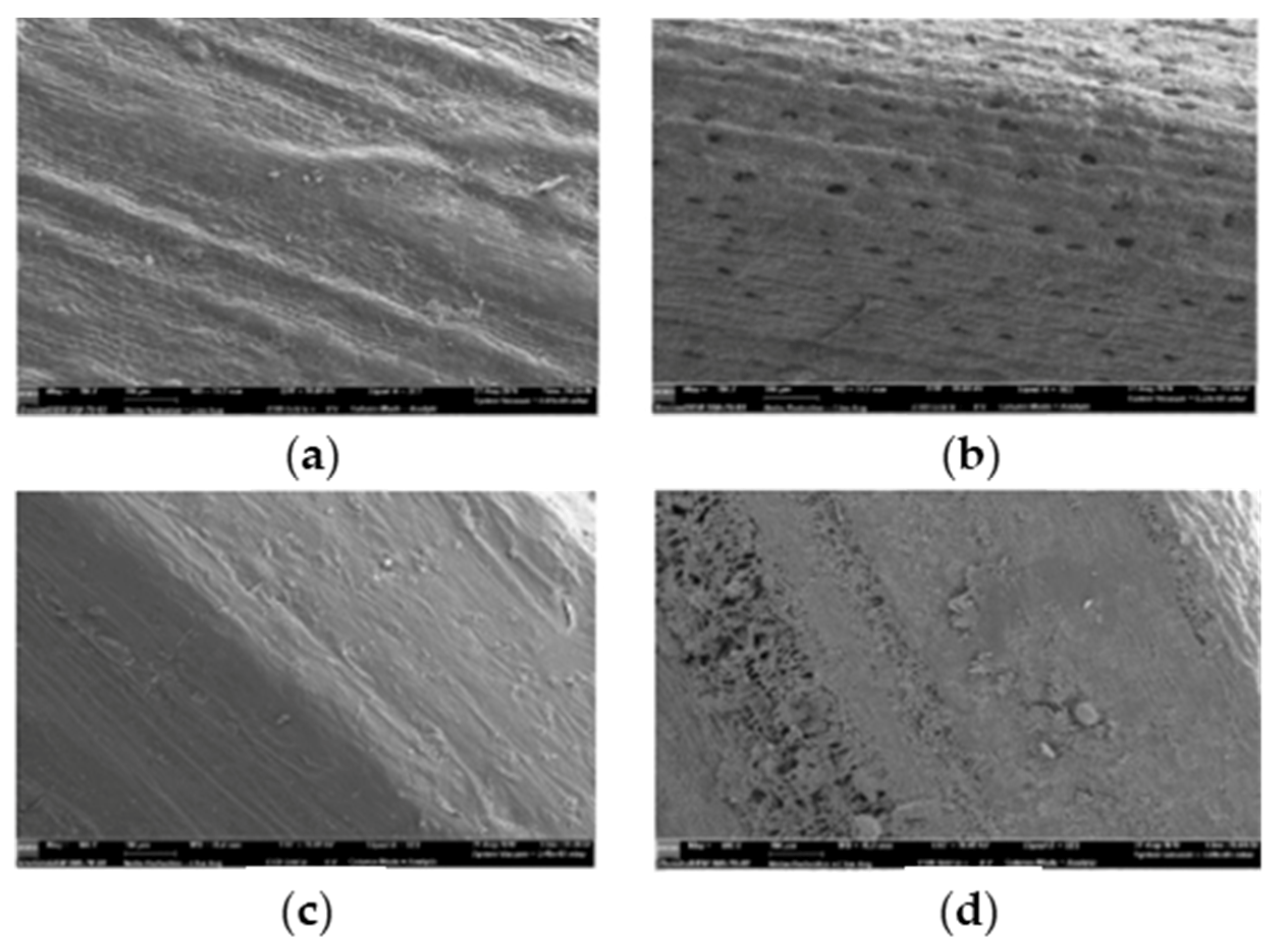 Sustainability 13 12865 g011