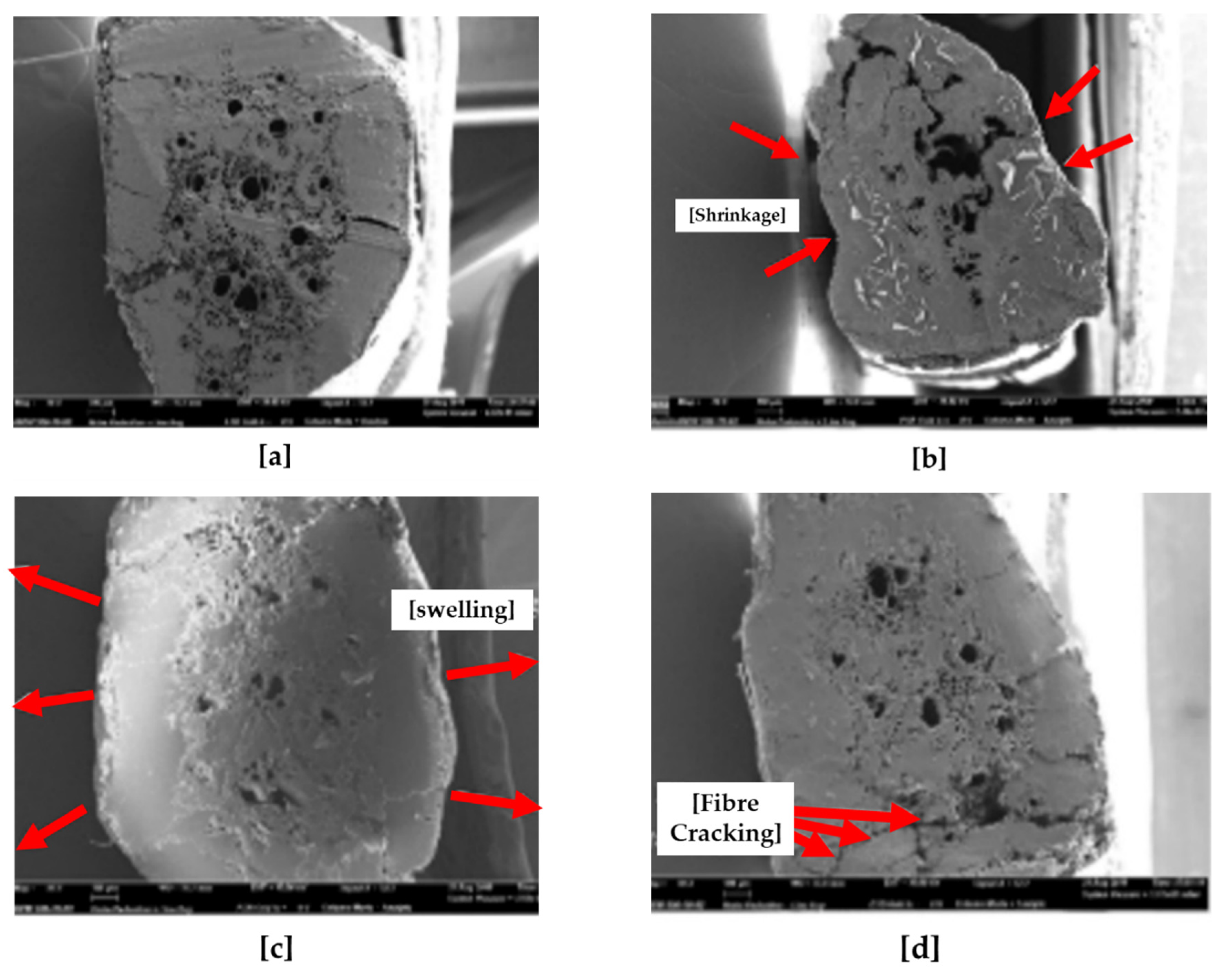 Sustainability 13 12865 g012