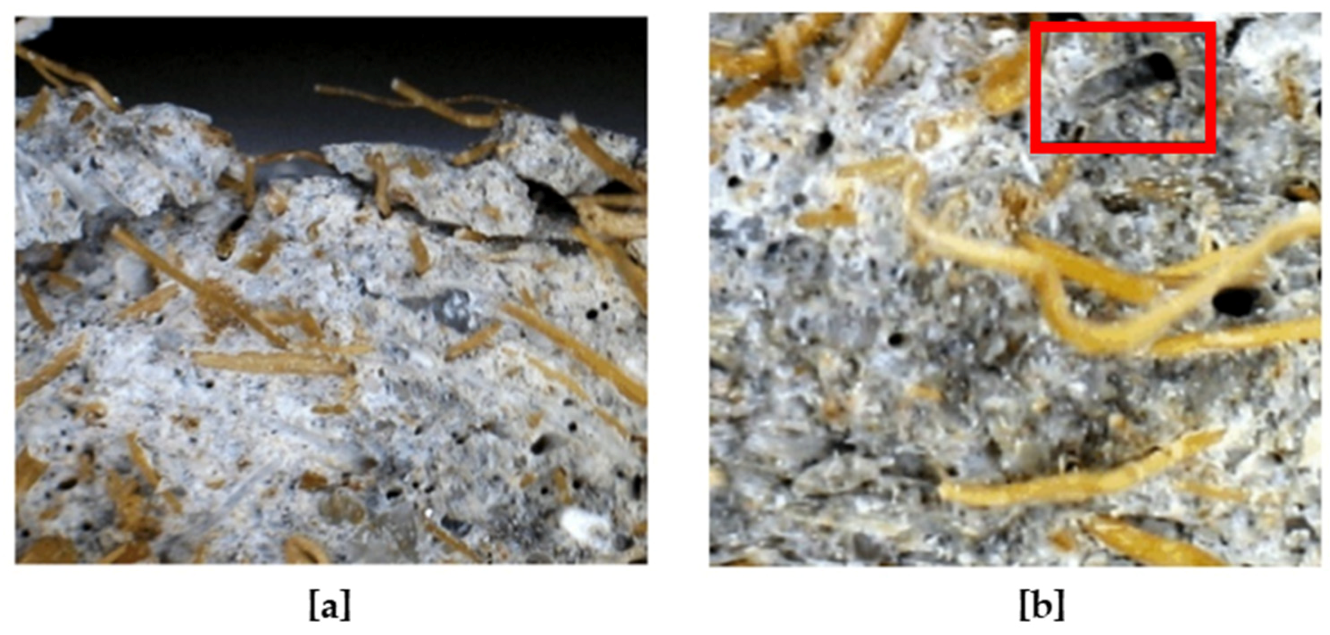 Sustainability 13 12865 g016