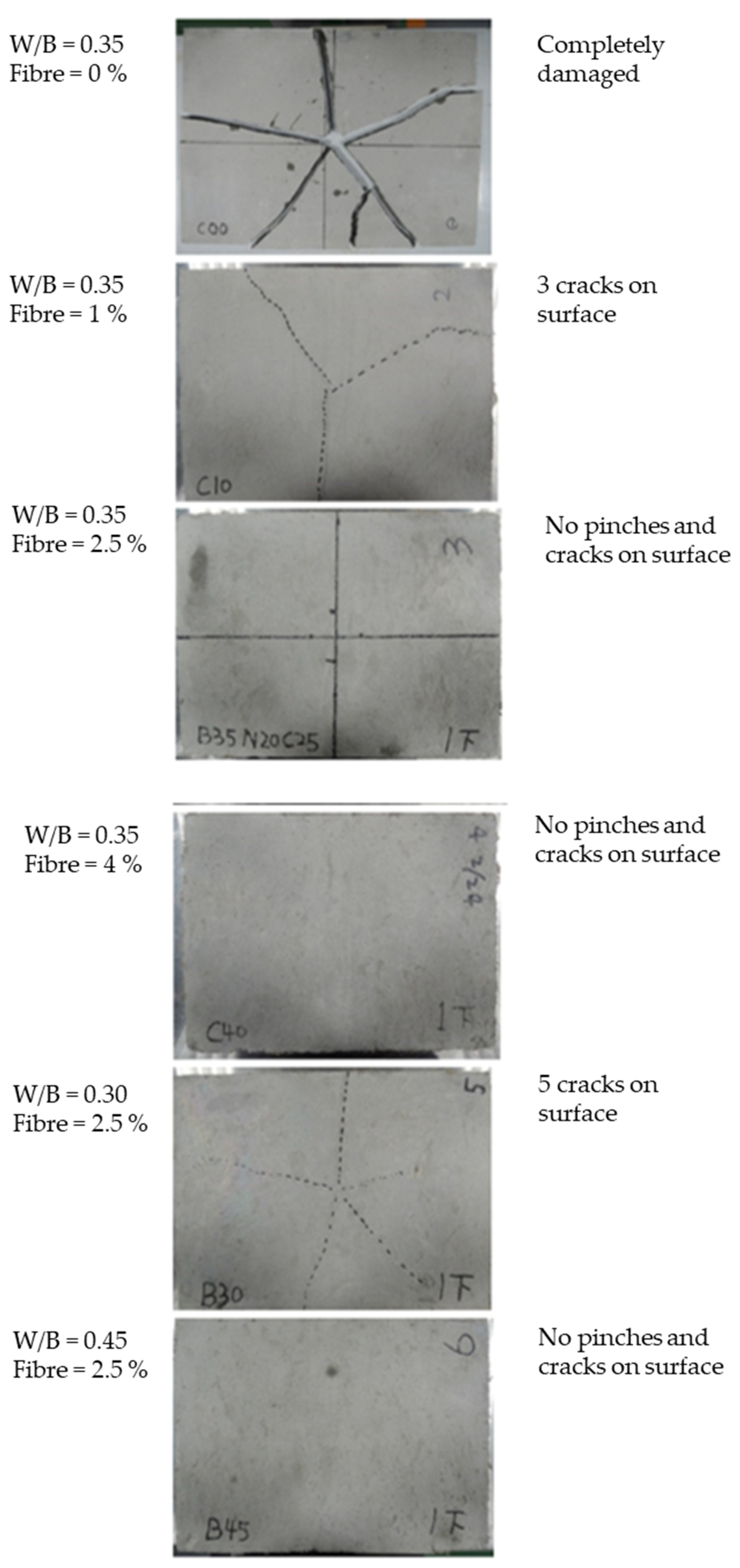 Sustainability 13 12865 g019
