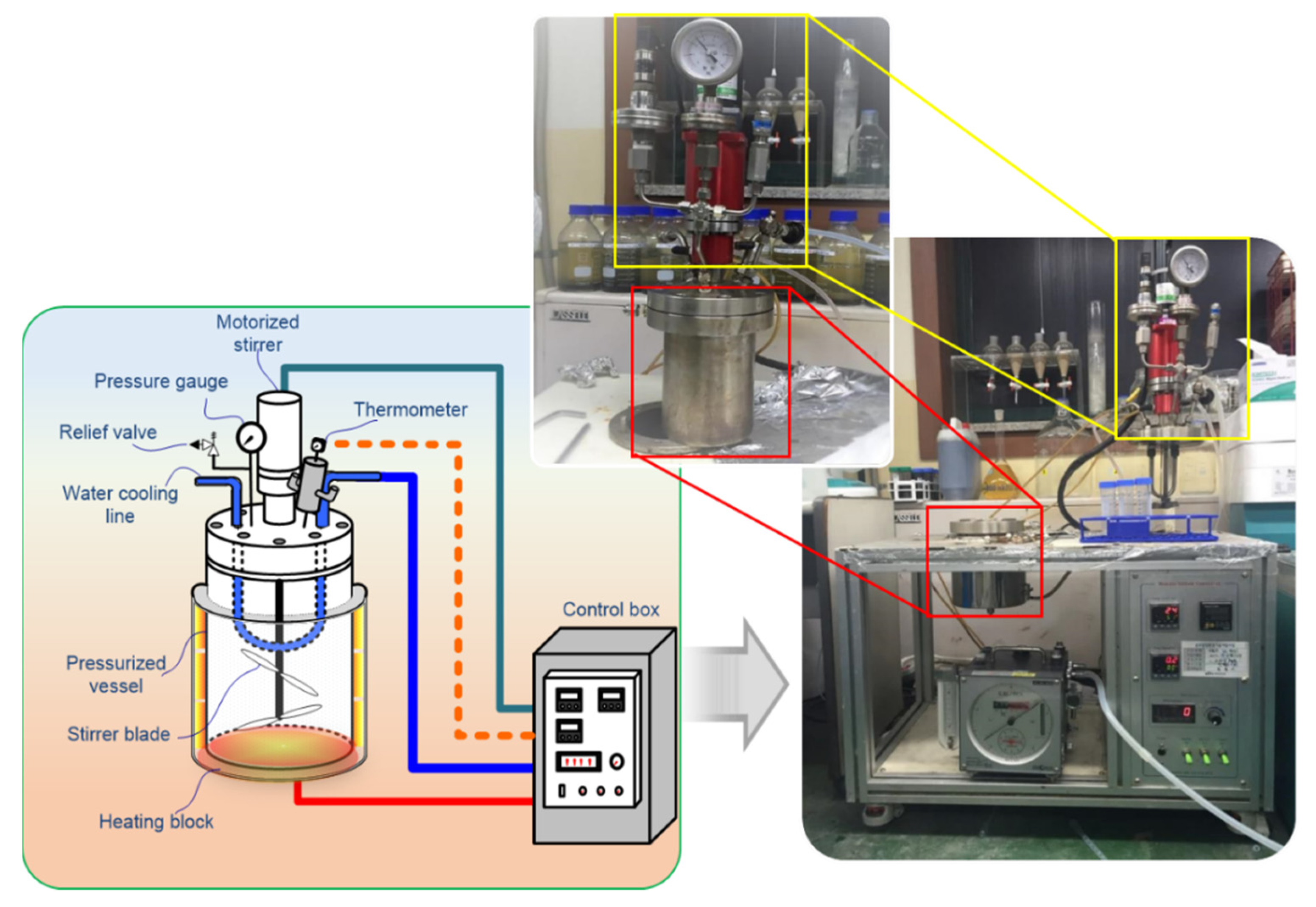 Sustainability 13 12887 g002