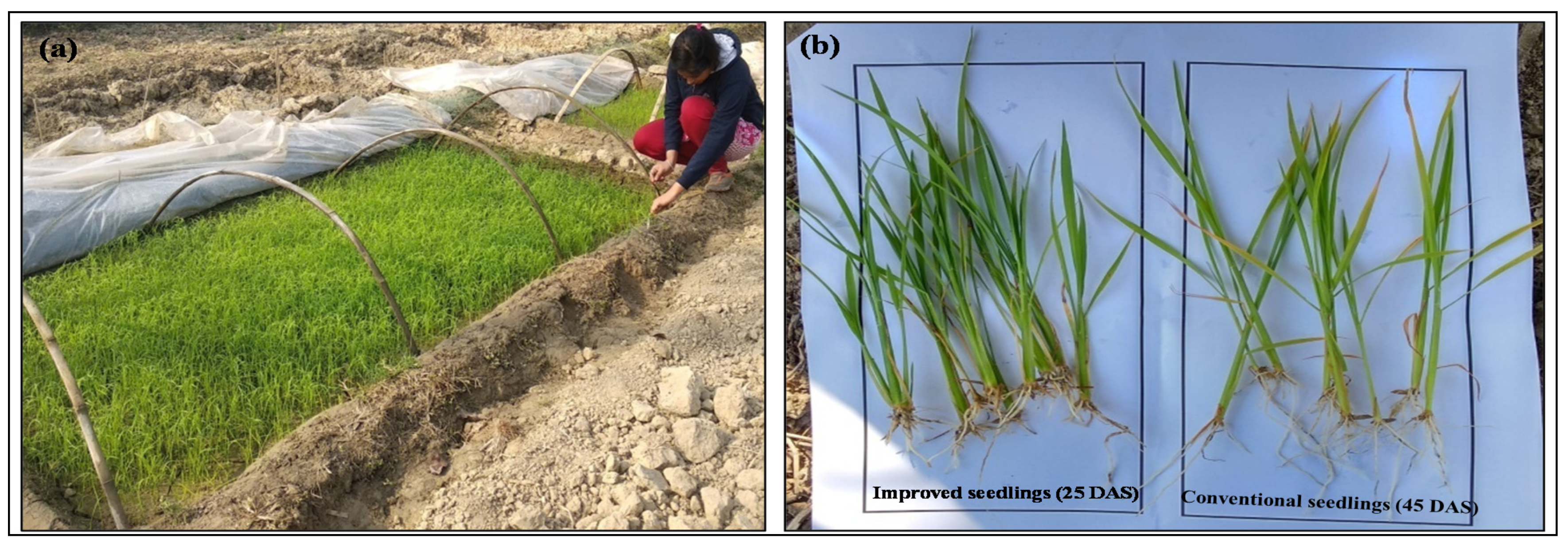 Sustainability 13 12910 g007 Sustainability 13 12910 g007