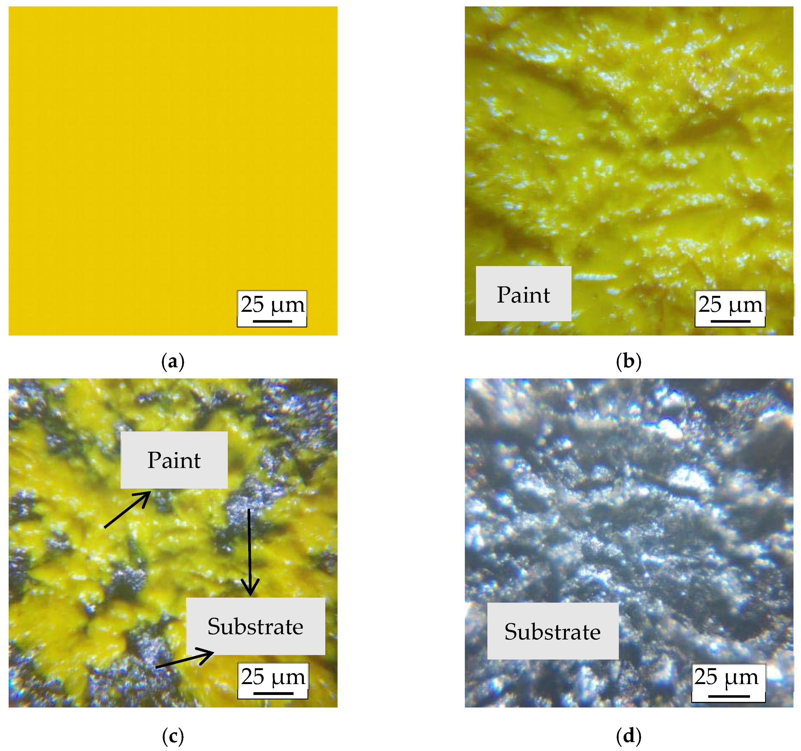 Sustainability 13 12915 g006