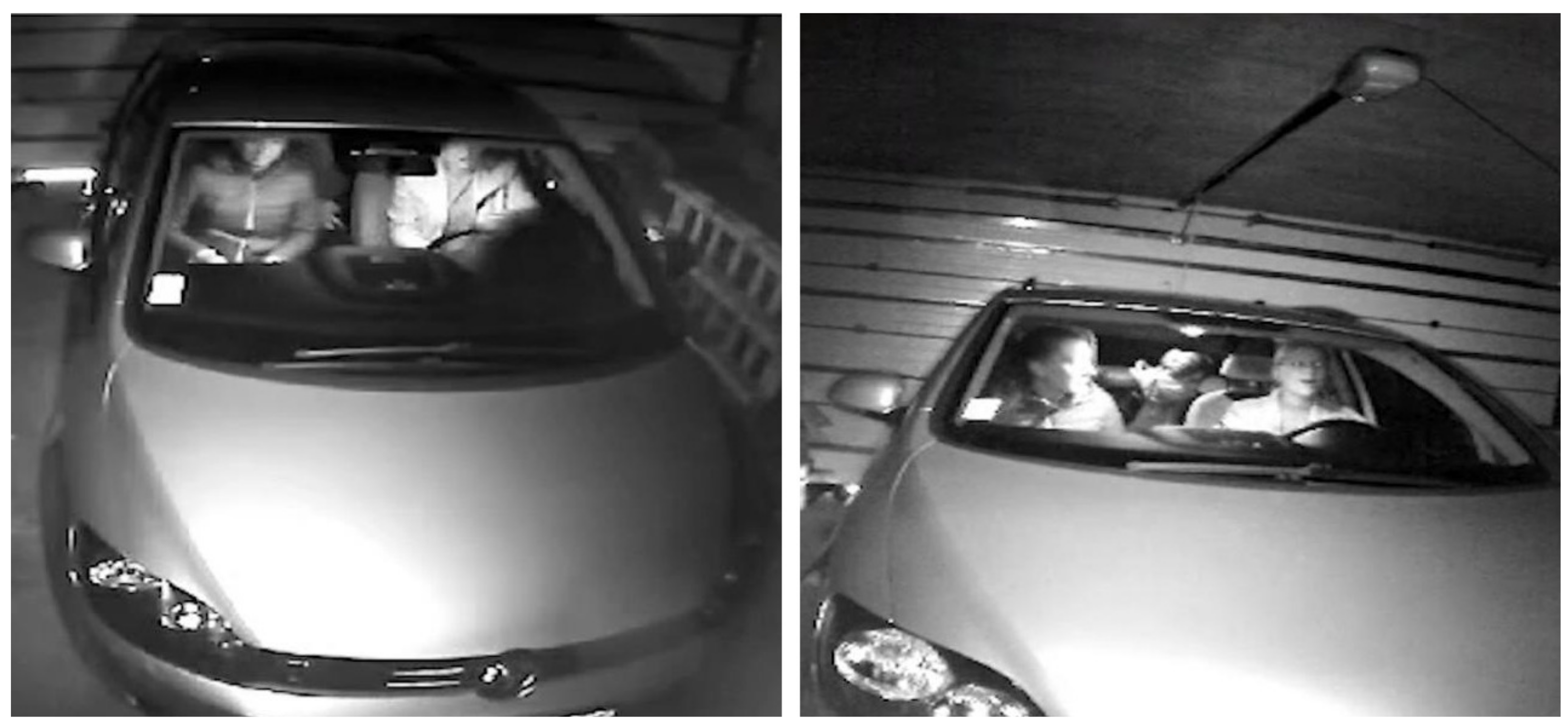 Sustainability 13 12928 g005