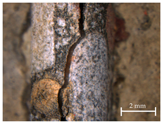 Sustainability 13 12948 i001