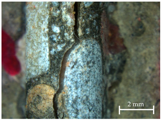 Sustainability 13 12948 i002