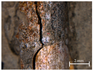 Sustainability 13 12948 i005