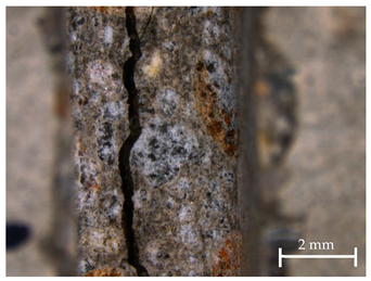 Sustainability 13 12948 i007