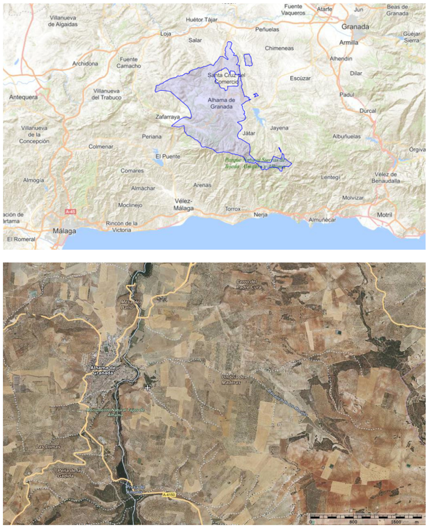 Sustainability 13 12964 g002 Sustainability 13 12964 g002