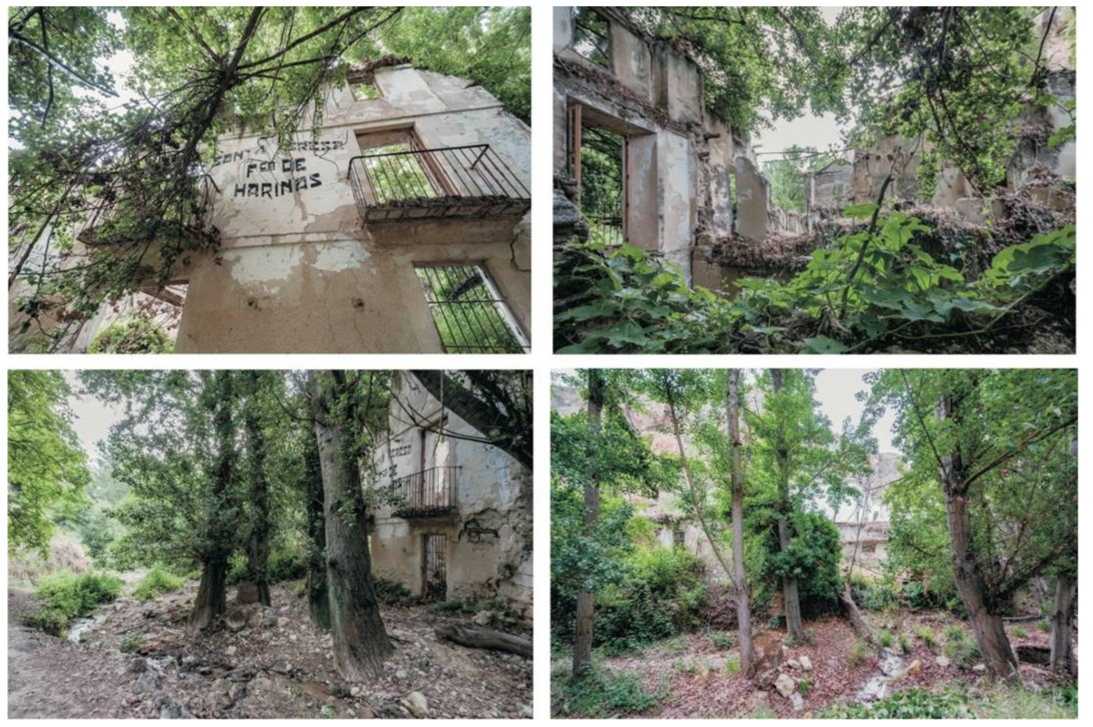 Sustainability 13 12964 g024 Sustainability 13 12964 g024