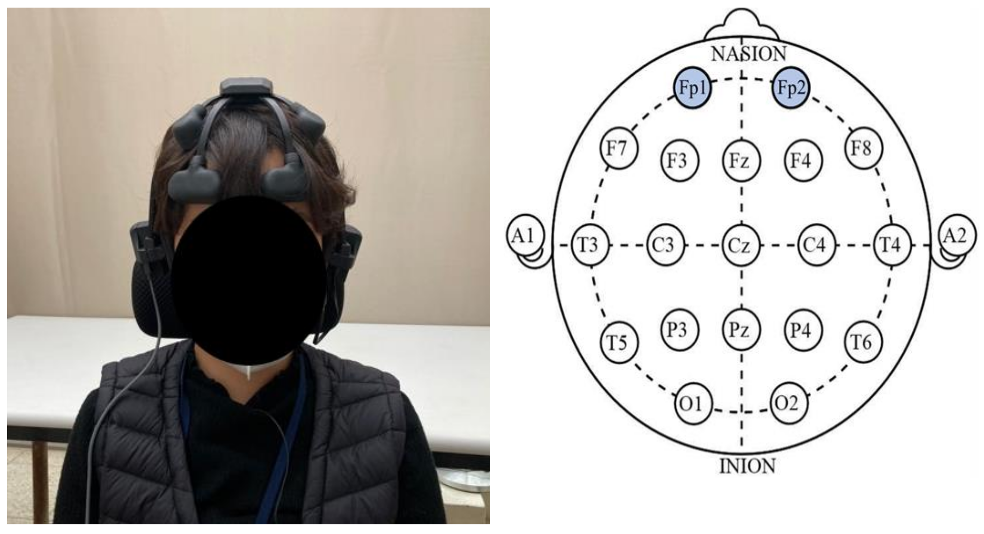 Sustainability 13 12968 g002