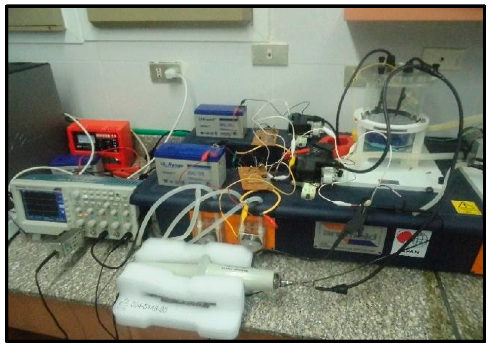 Sustainability 13 12971 g002 550