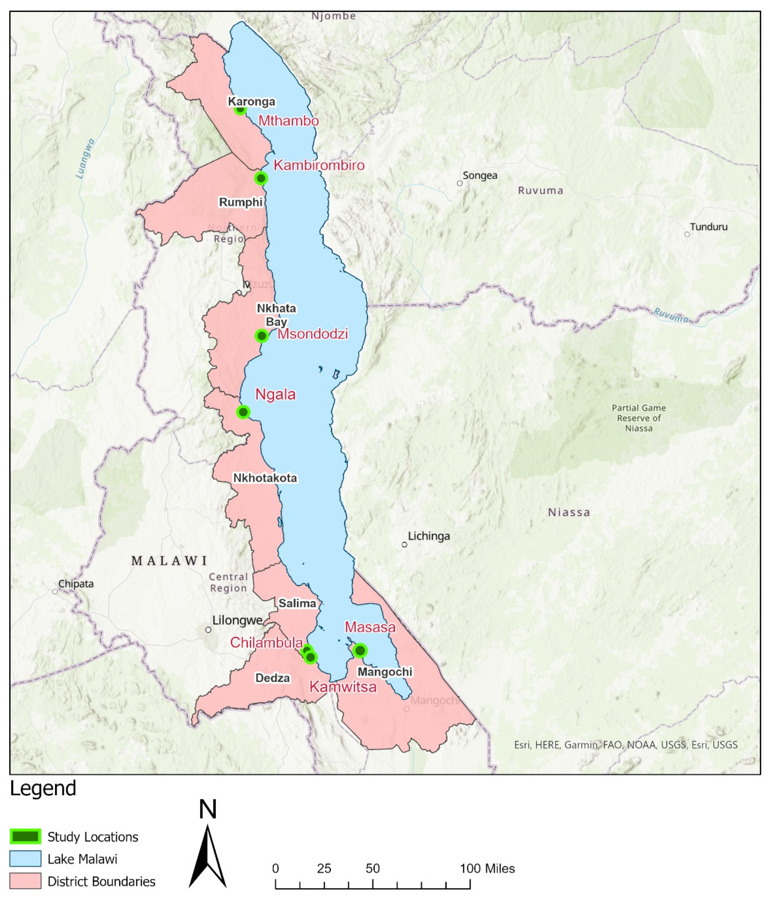 Sustainability 13 13001 g002 550