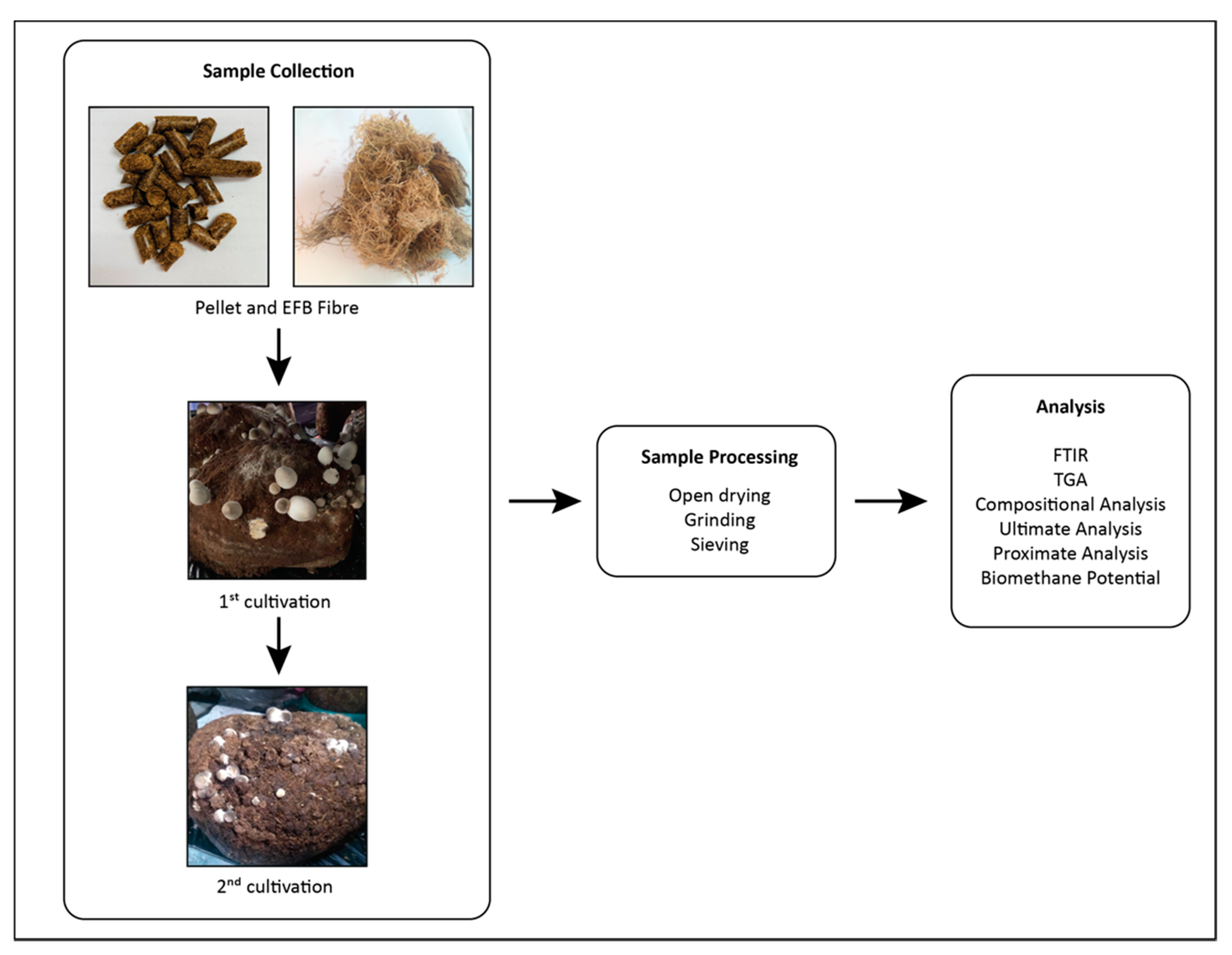 Sustainability 13 13008 g001 Sustainability 13 13008 g001