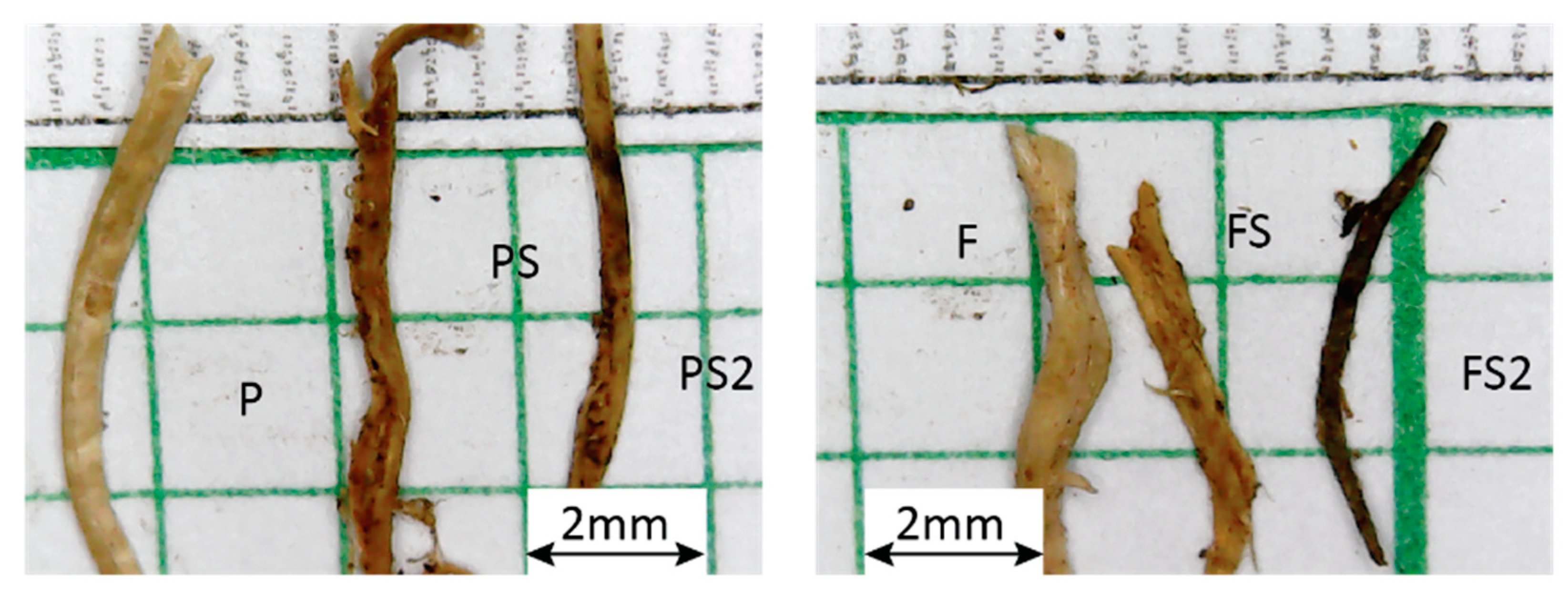 Sustainability 13 13008 g002 Sustainability 13 13008 g002