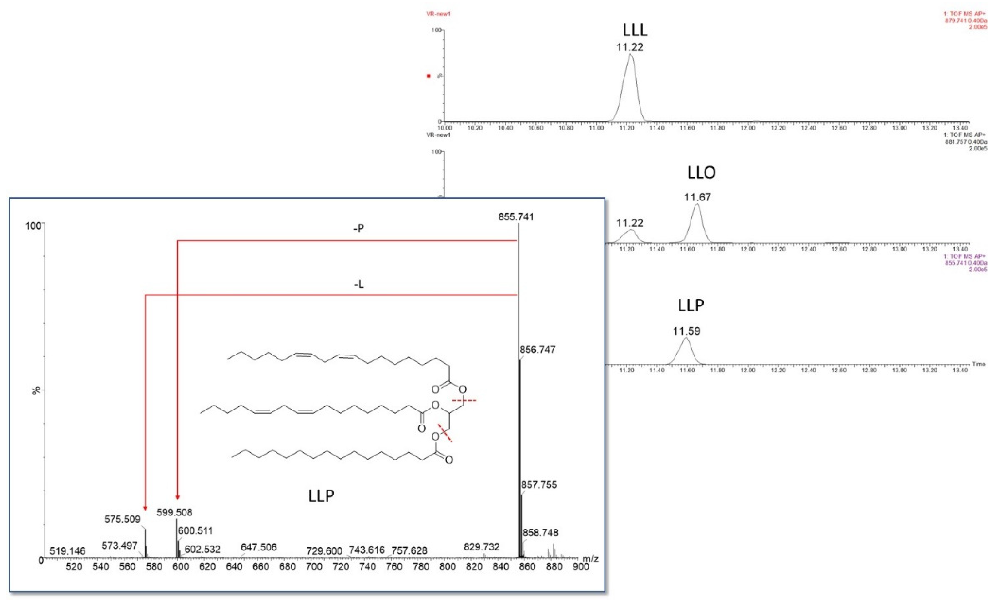 Sustainability 13 13038 g001 Sustainability 13 13038 g001