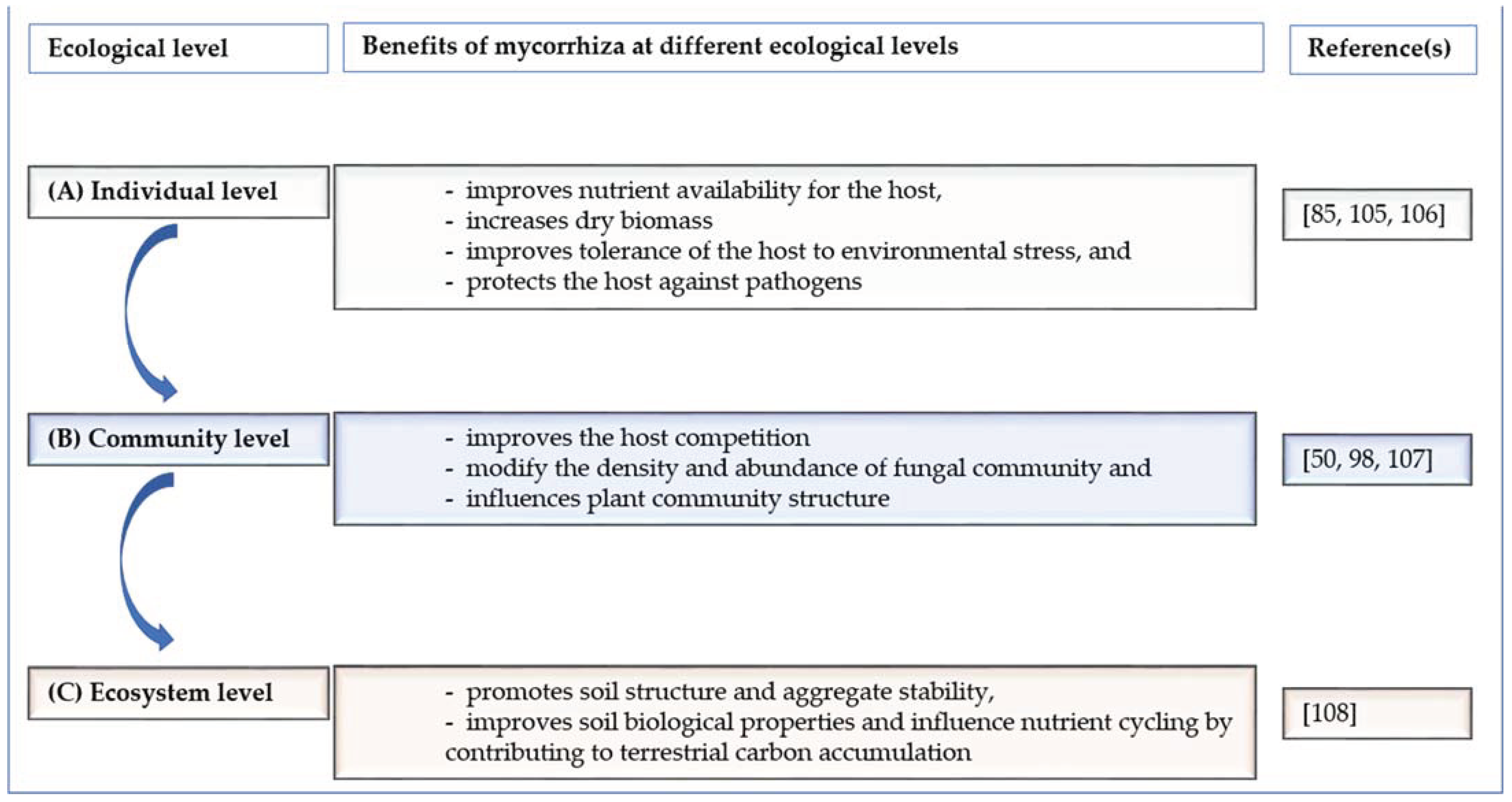 Sustainability 13 13081 g003