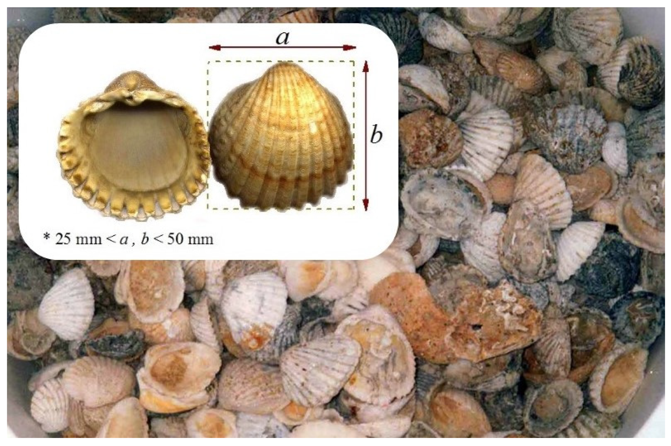 Sustainability 13 13120 g001 Sustainability 13 13120 g001