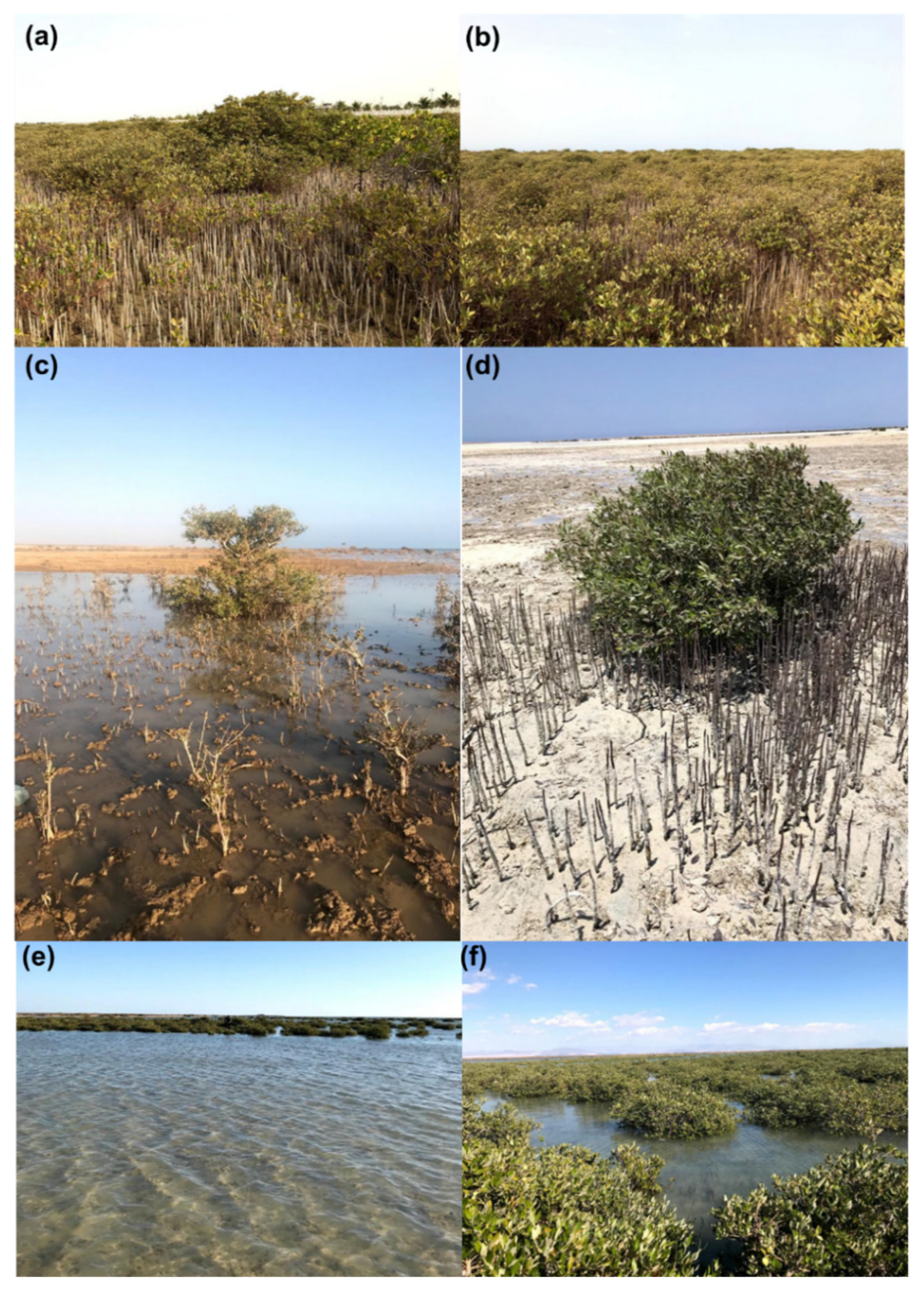 Sustainability 13 13149 g001 550