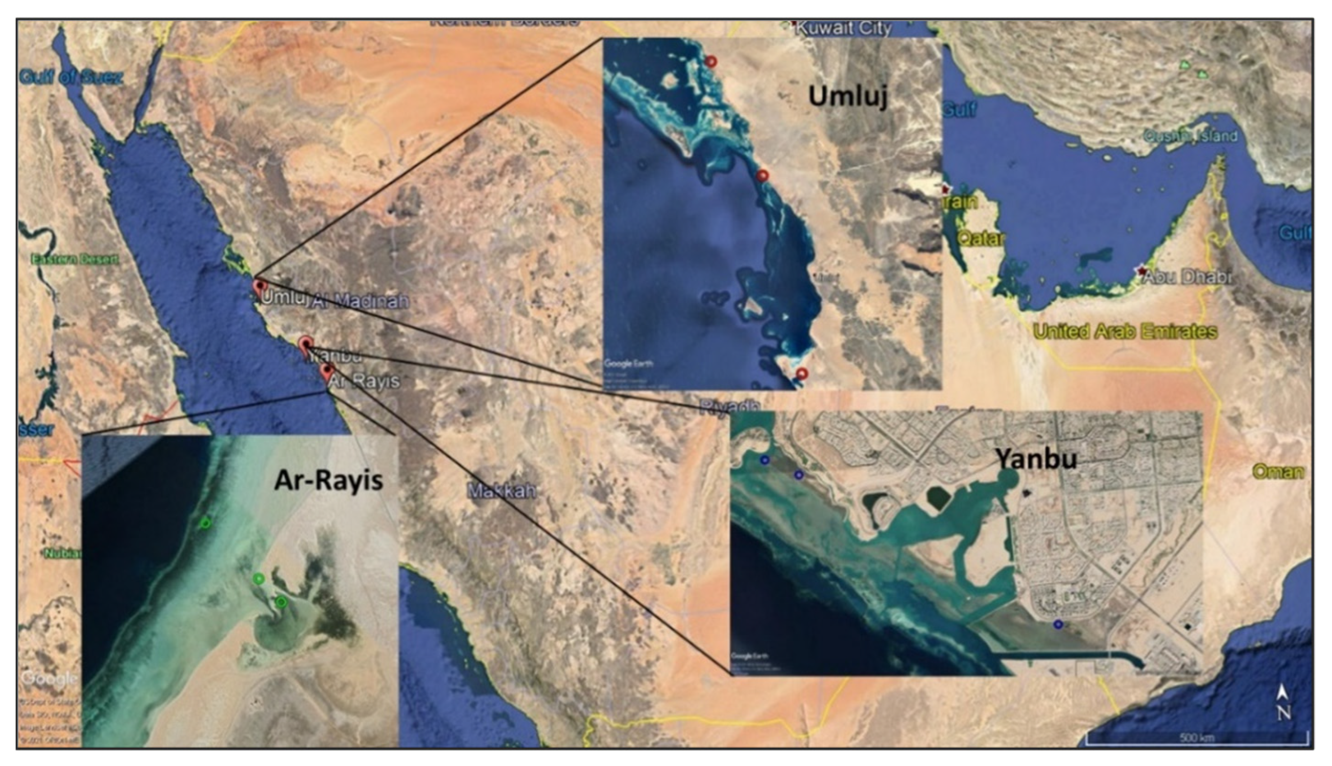 Sustainability 13 13149 g002 550