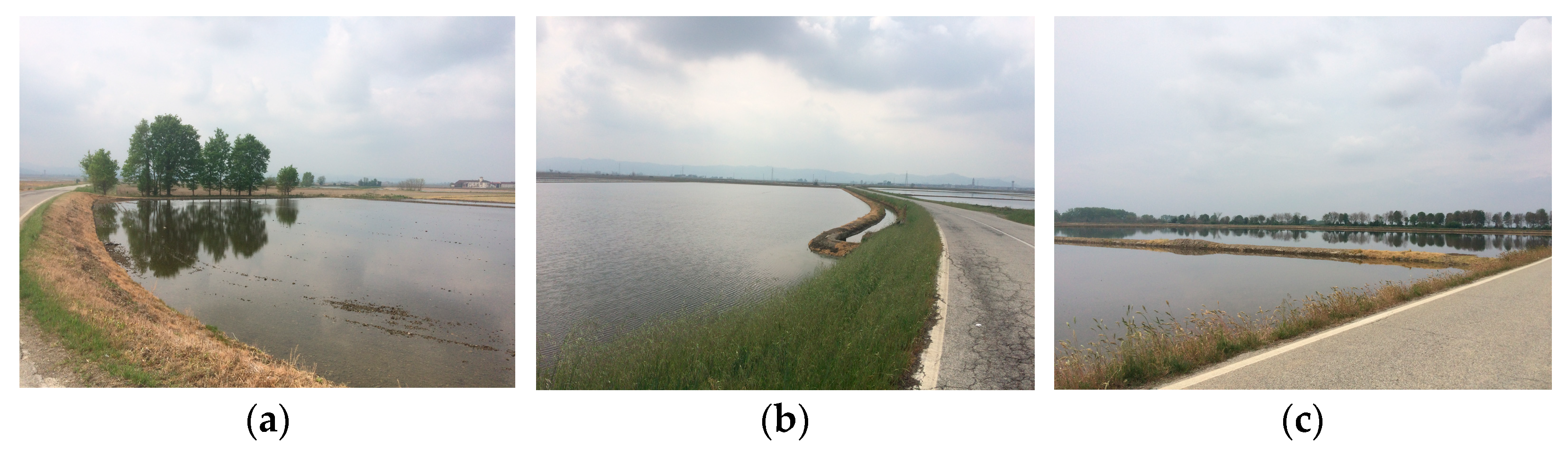 Sustainability 13 13155 g002