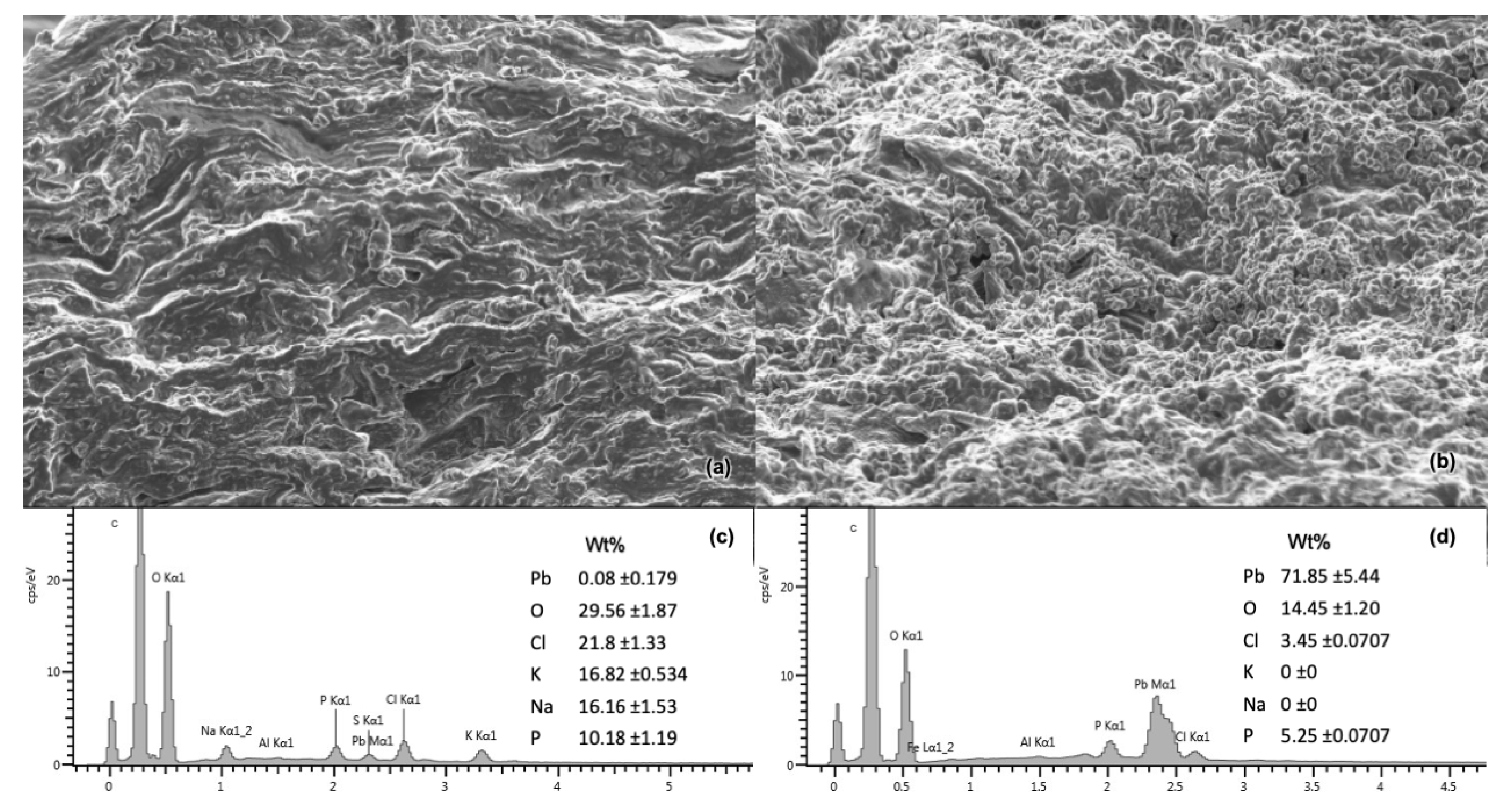 Sustainability 13 13169 g007