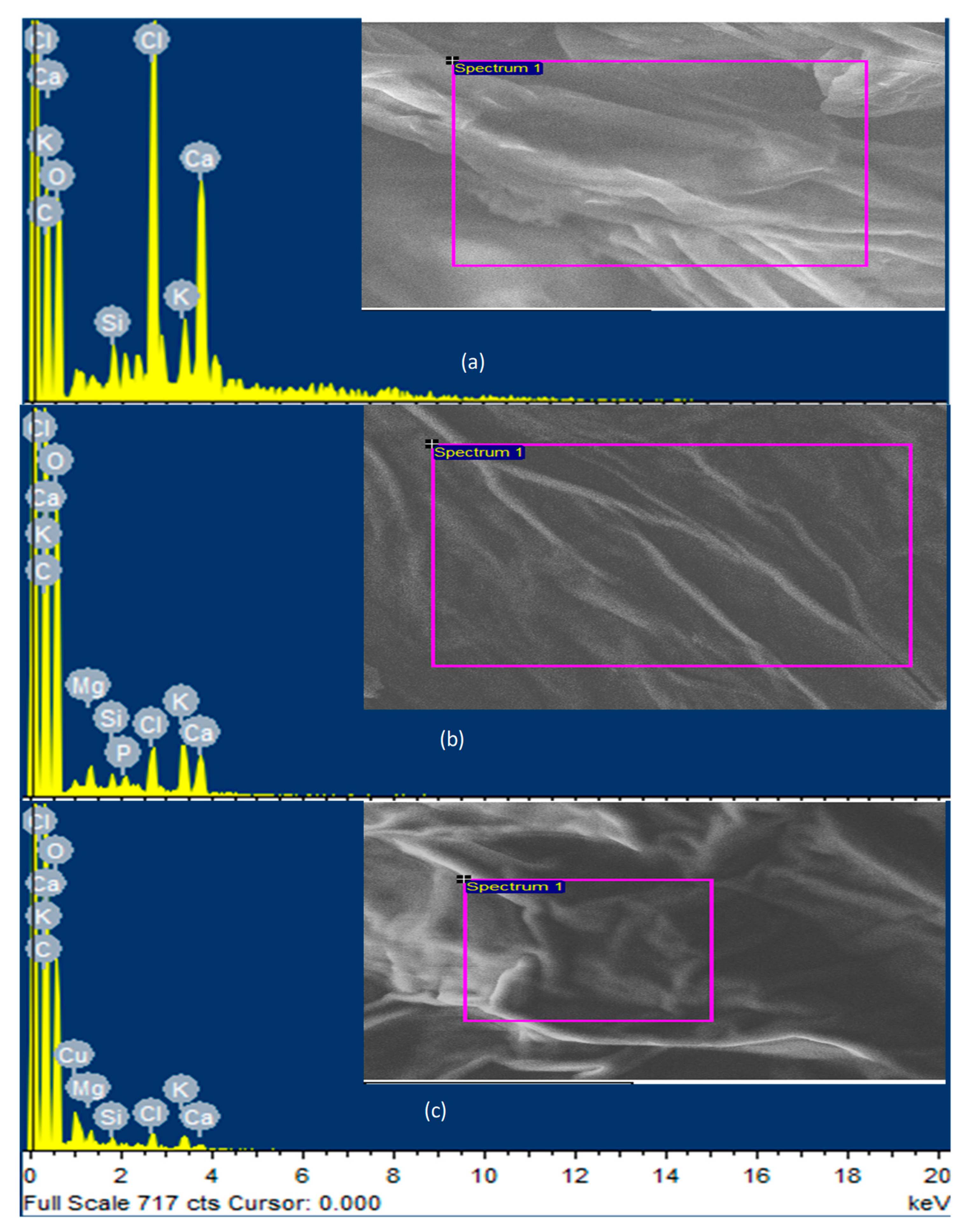 Sustainability 13 13199 g007 550