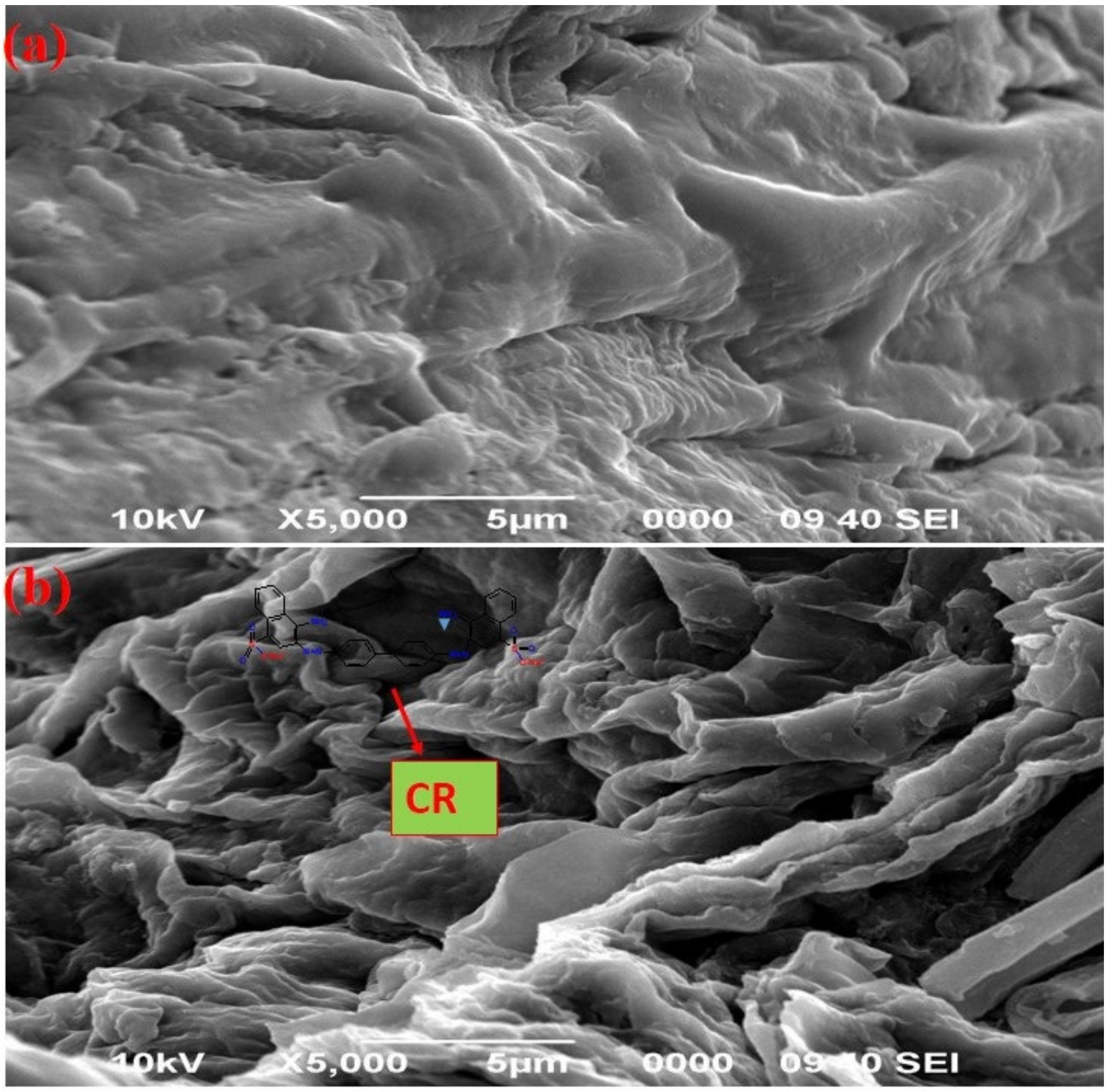 Sustainability 13 13264 g002 550