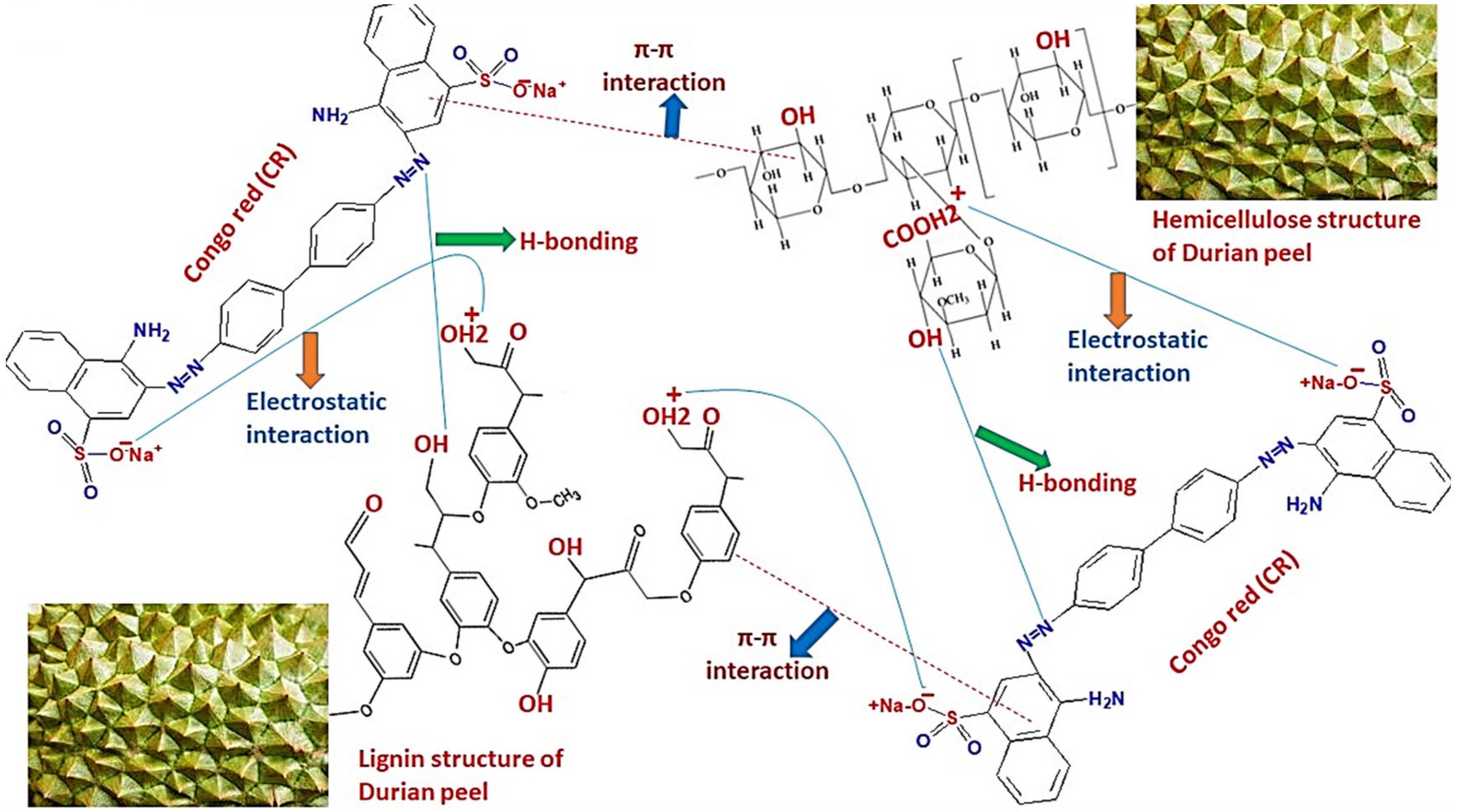 Sustainability 13 13264 g009 550