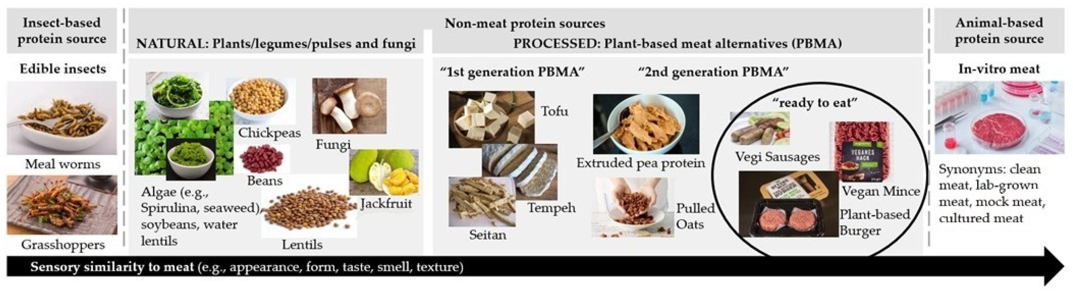 Sustainable Meat, Plant Based Solutions & Ingredients